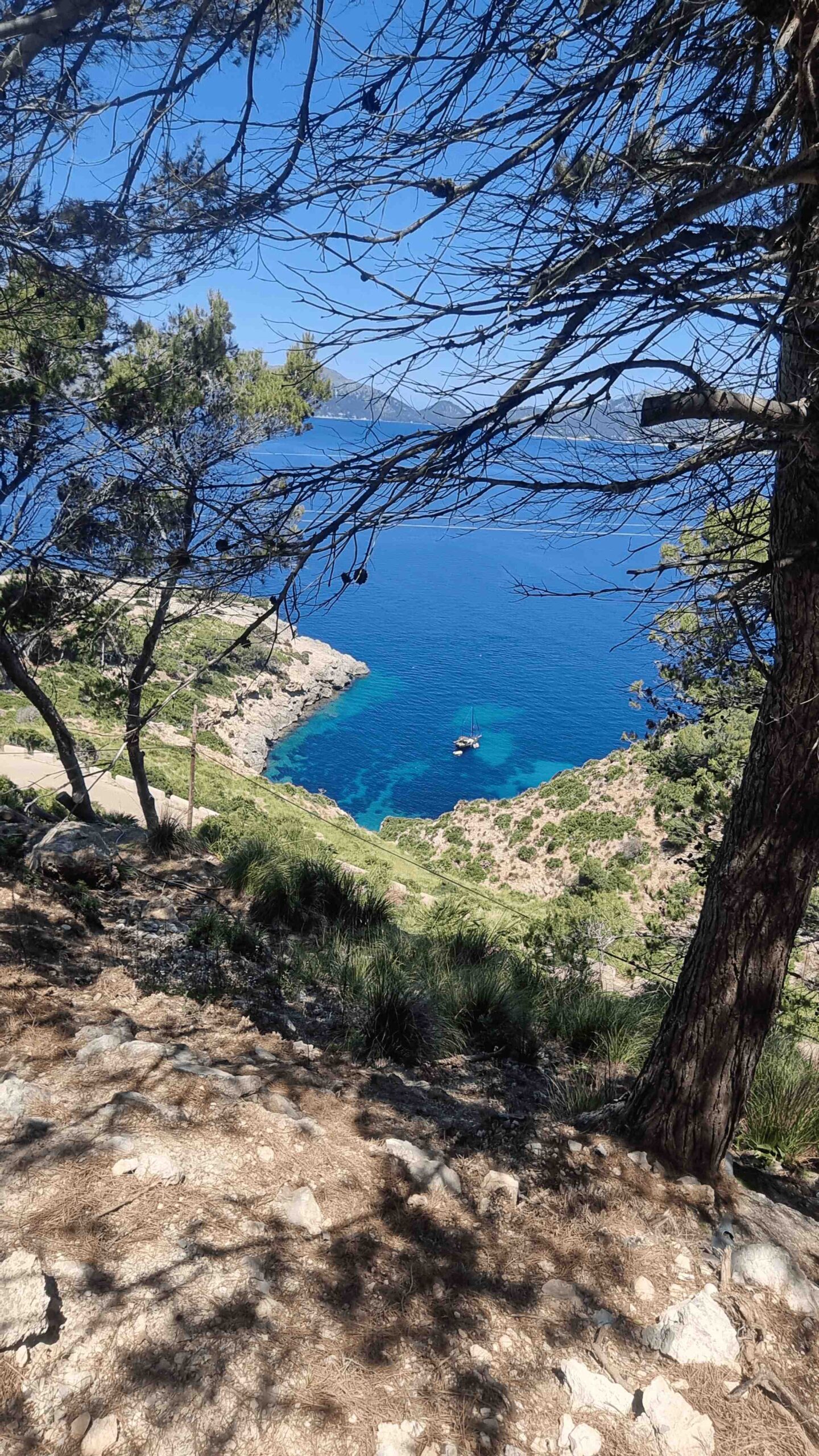 2025-Mallorca-Tag4 (30)