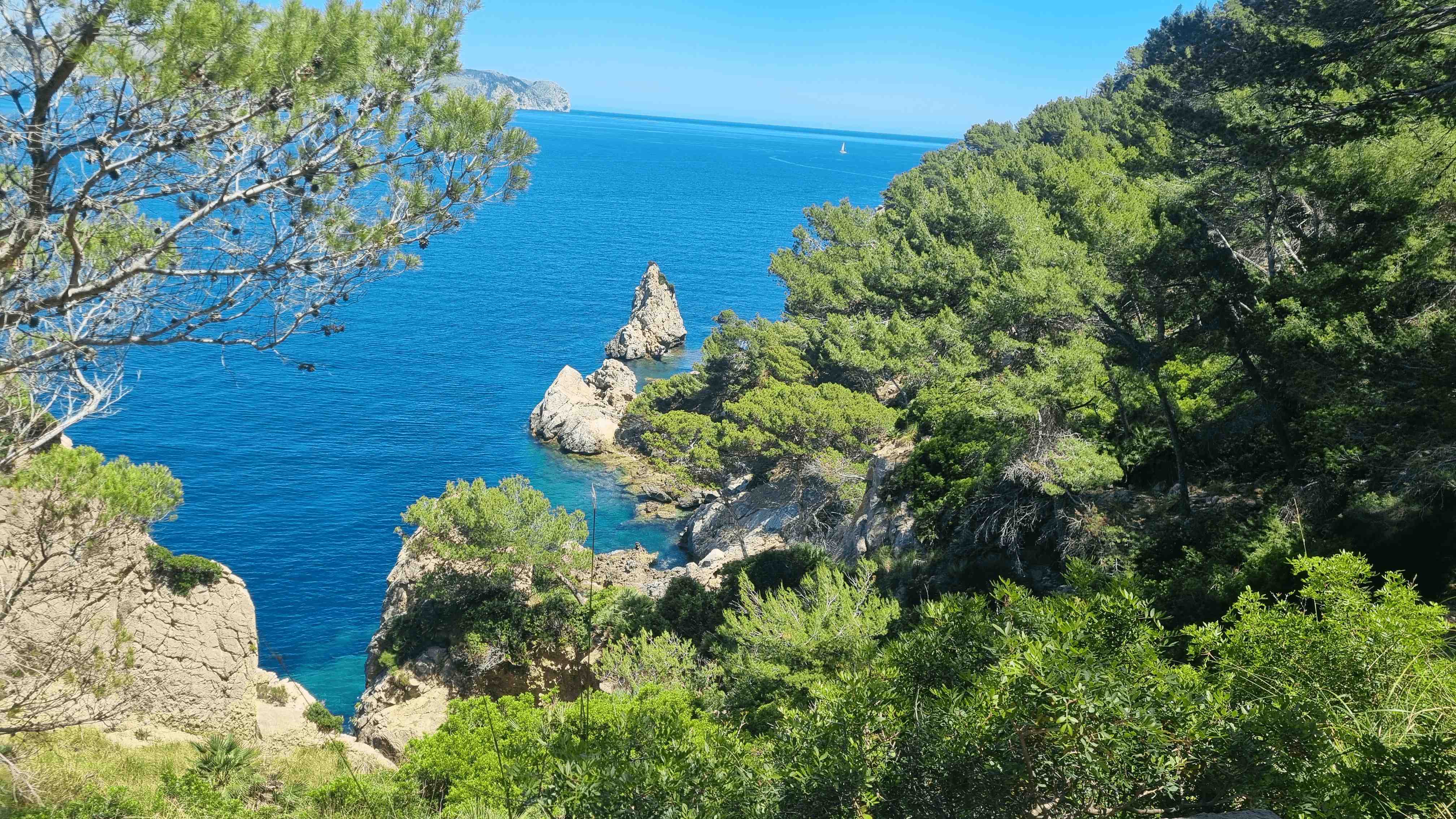 2025-Mallorca-Tag4 (31)