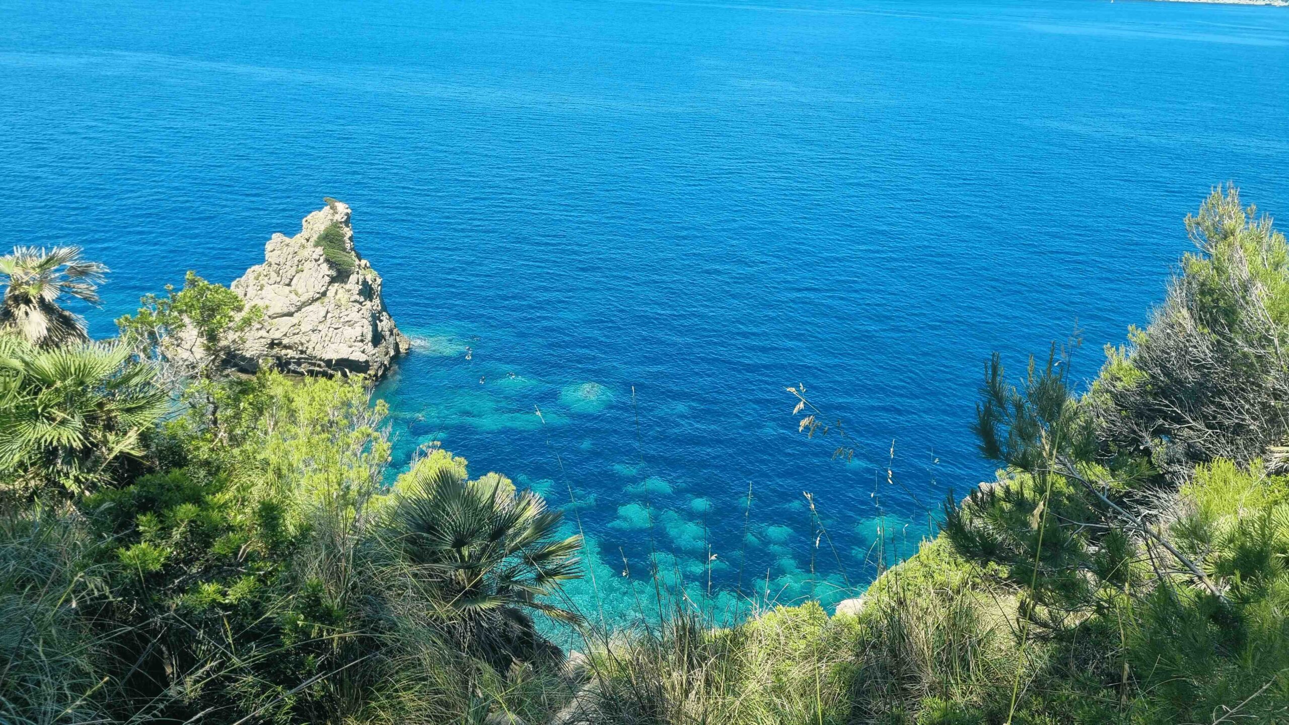 2025-Mallorca-Tag4 (4)