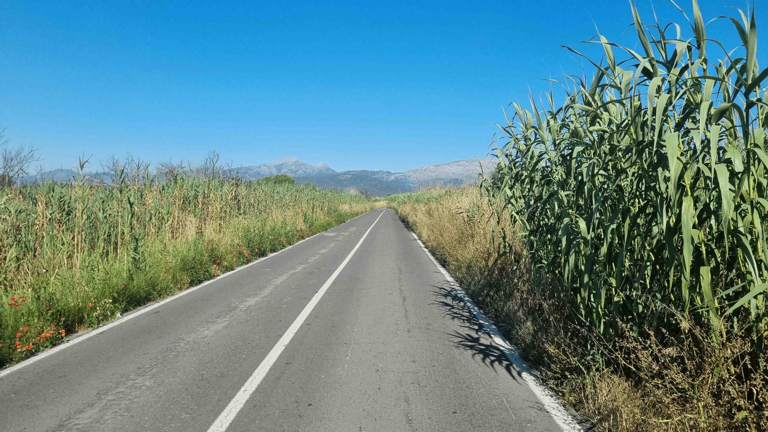 2025-Mallorca-Tag4 (9)