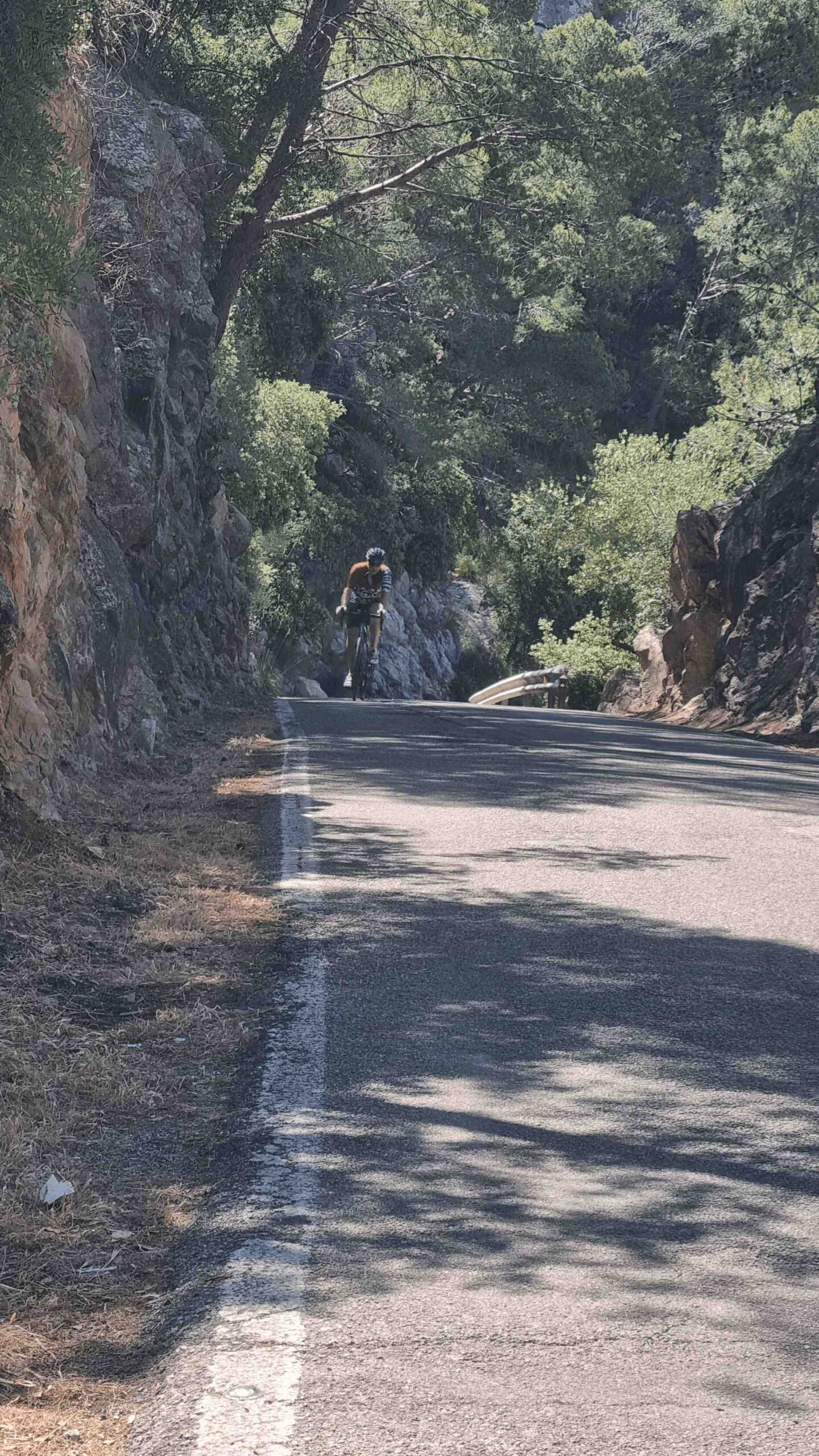 2025-Mallorca-Tag5 (12)