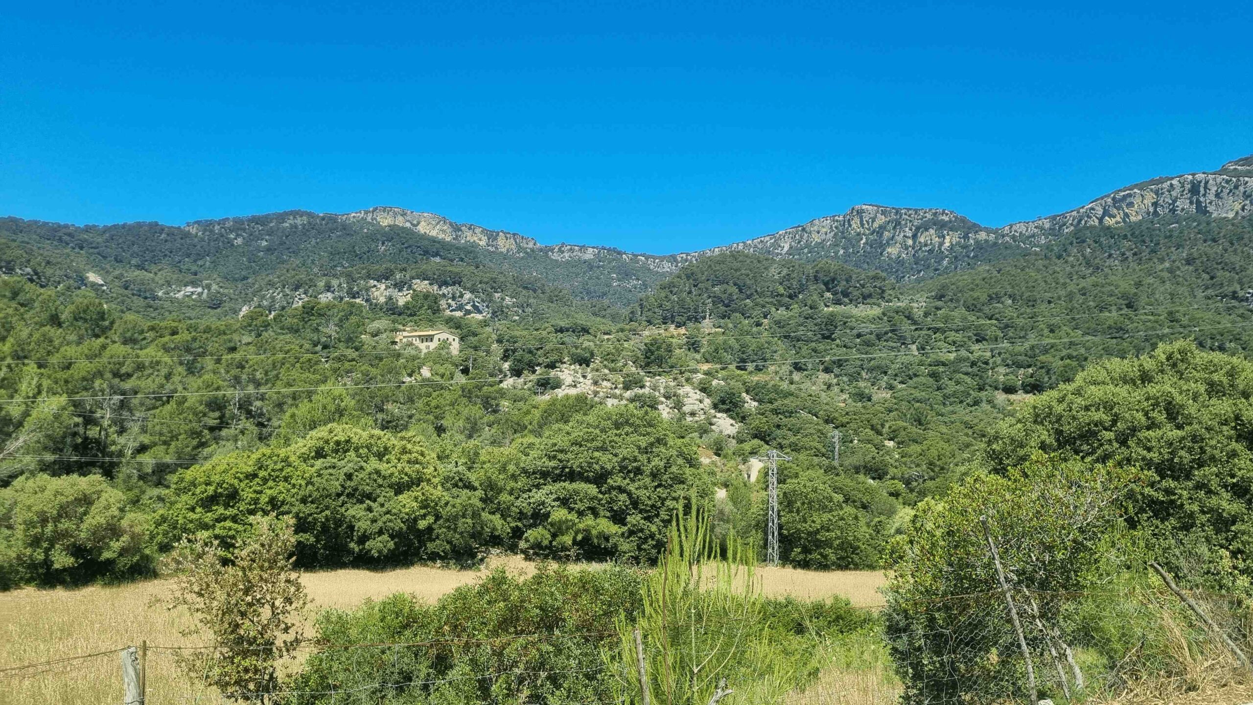 2025-Mallorca-Tag5 (16)