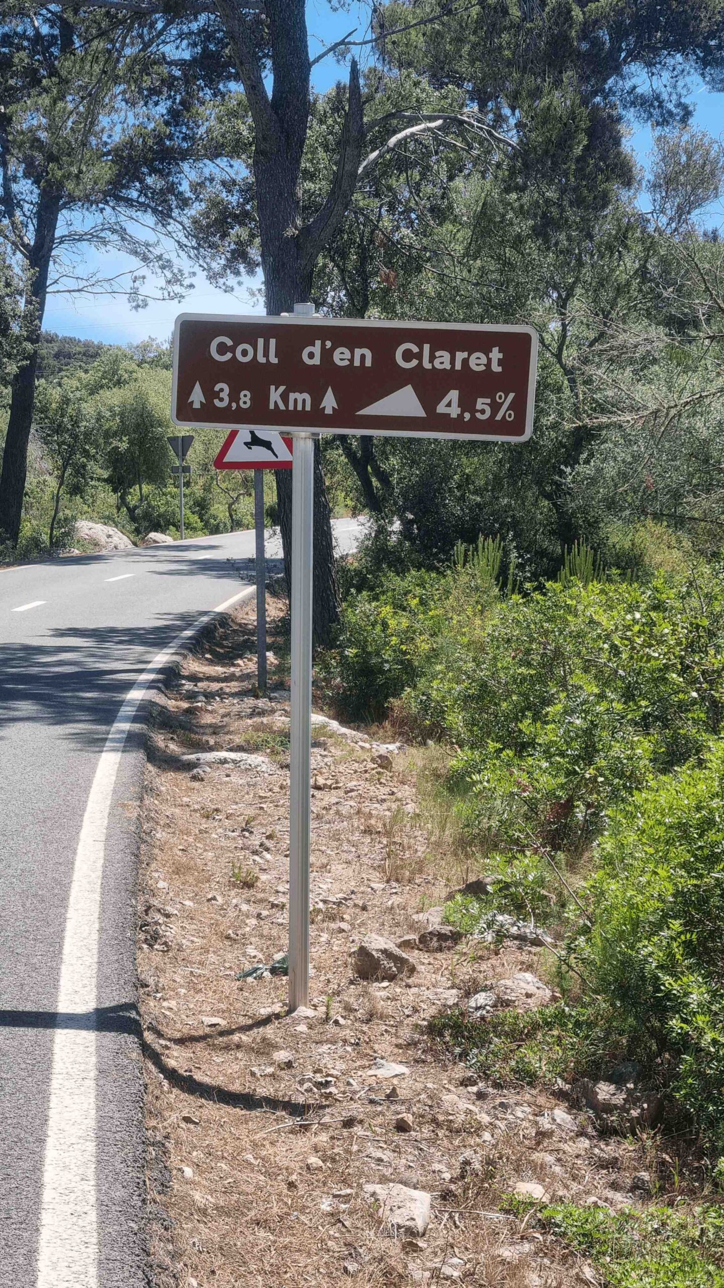 2025-Mallorca-Tag5 (17)