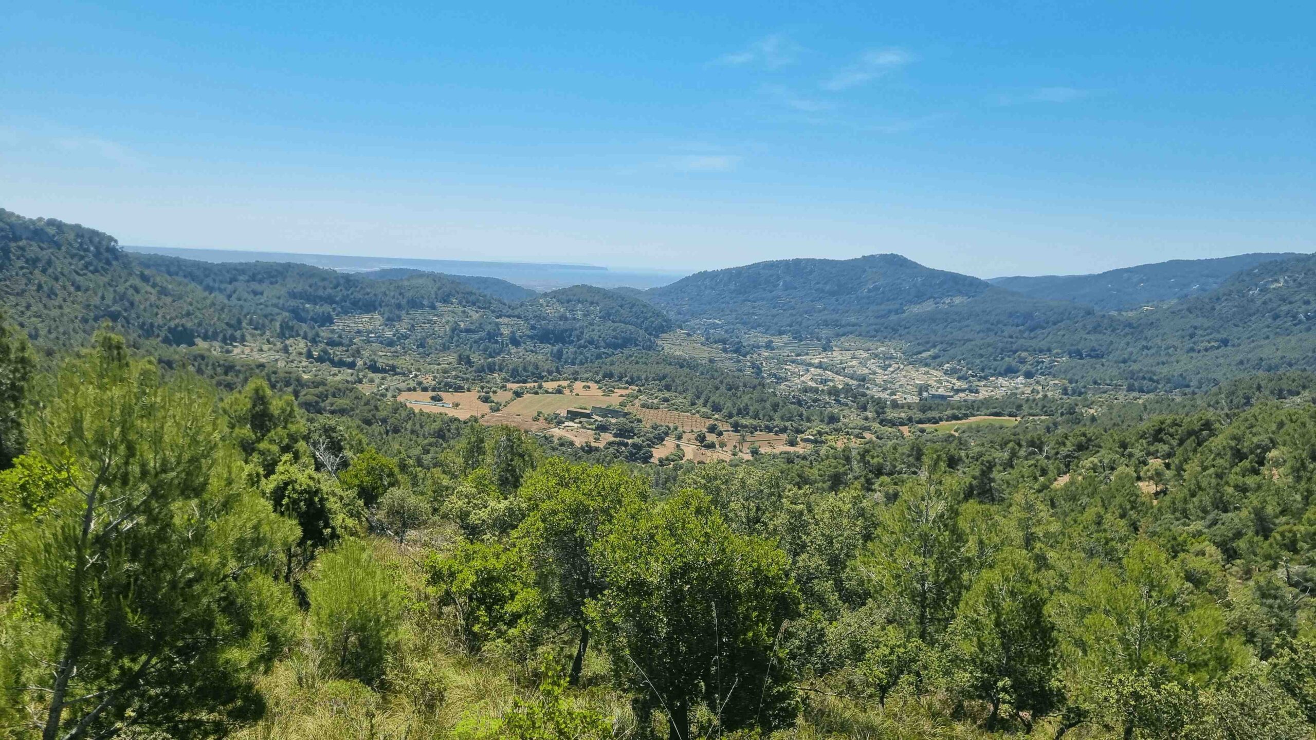 2025-Mallorca-Tag5 (18)