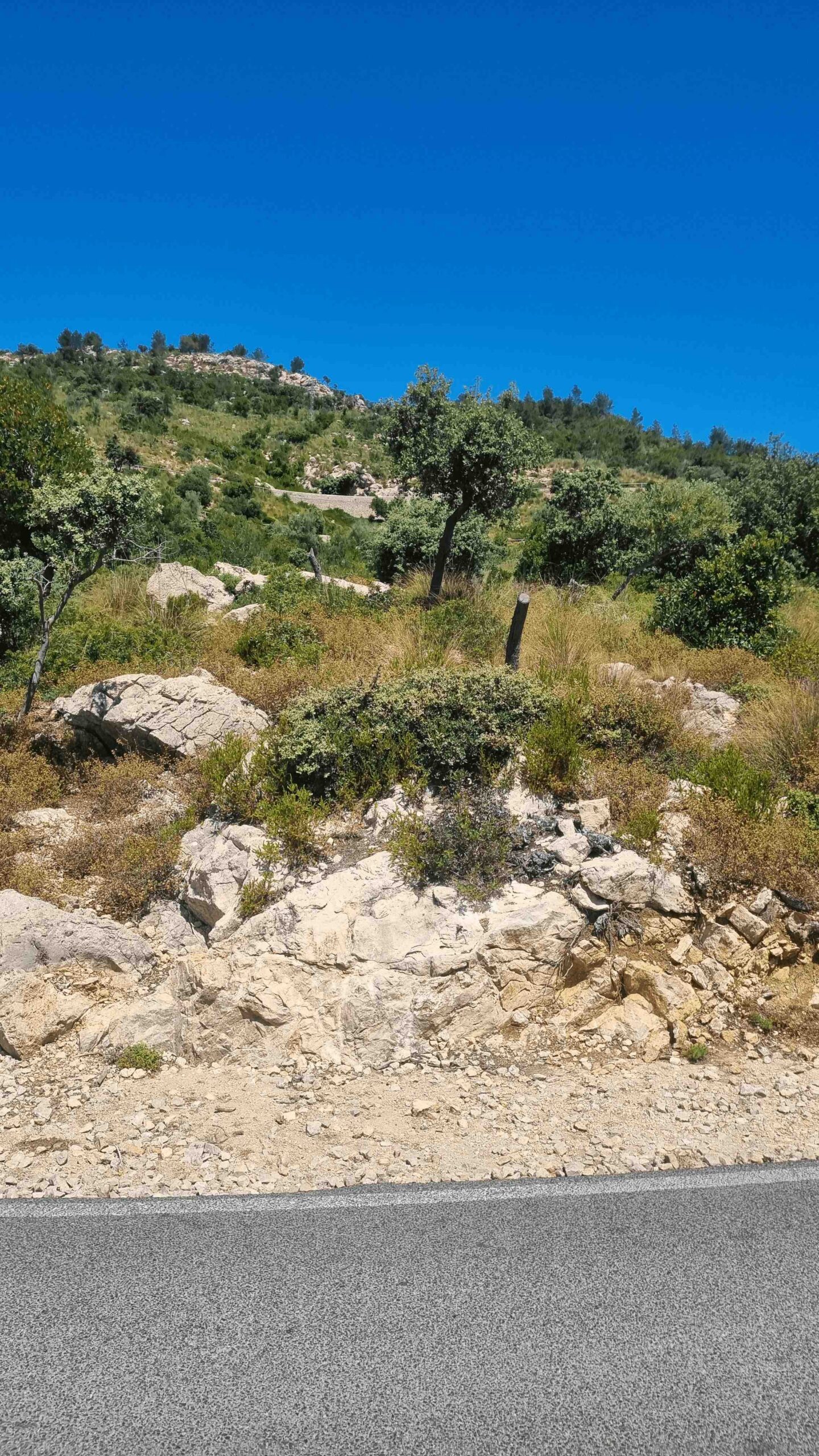 2025-Mallorca-Tag5 (19)