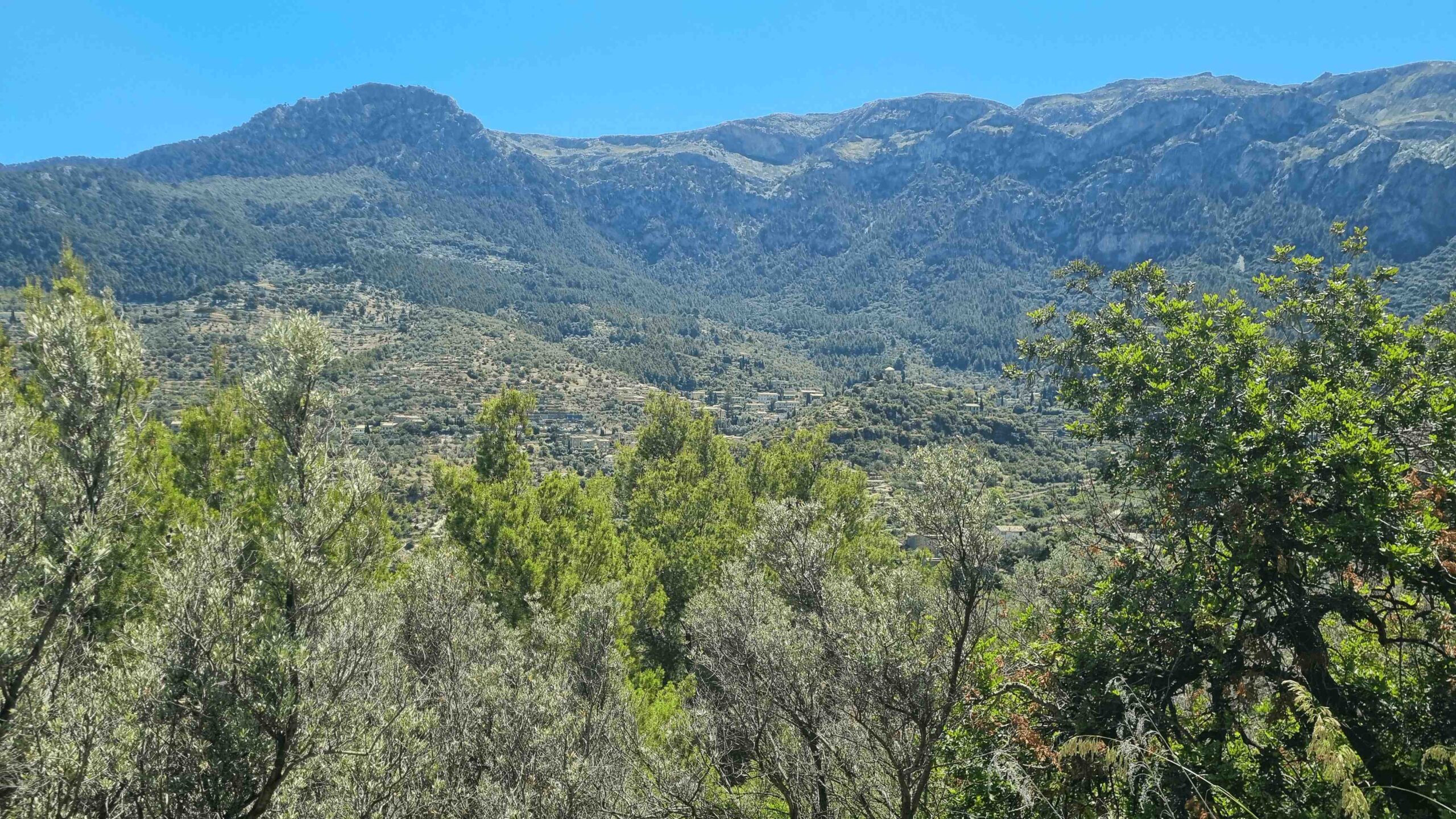 2025-Mallorca-Tag5 (21)