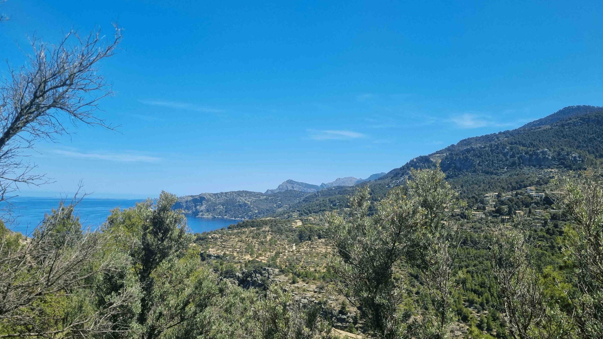 2025-Mallorca-Tag5 (22)