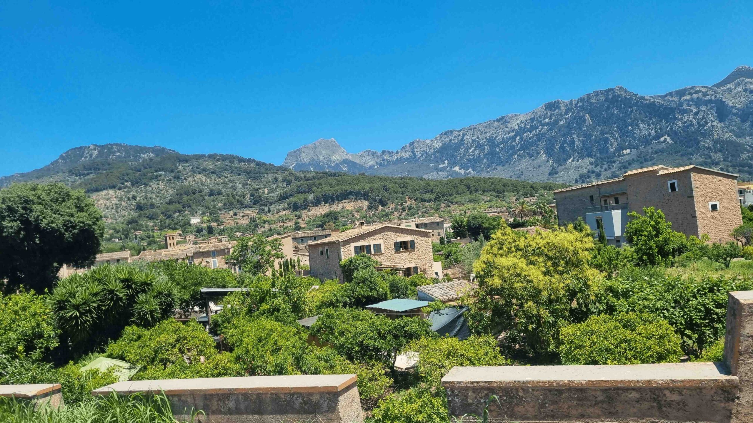 2025-Mallorca-Tag5 (26)