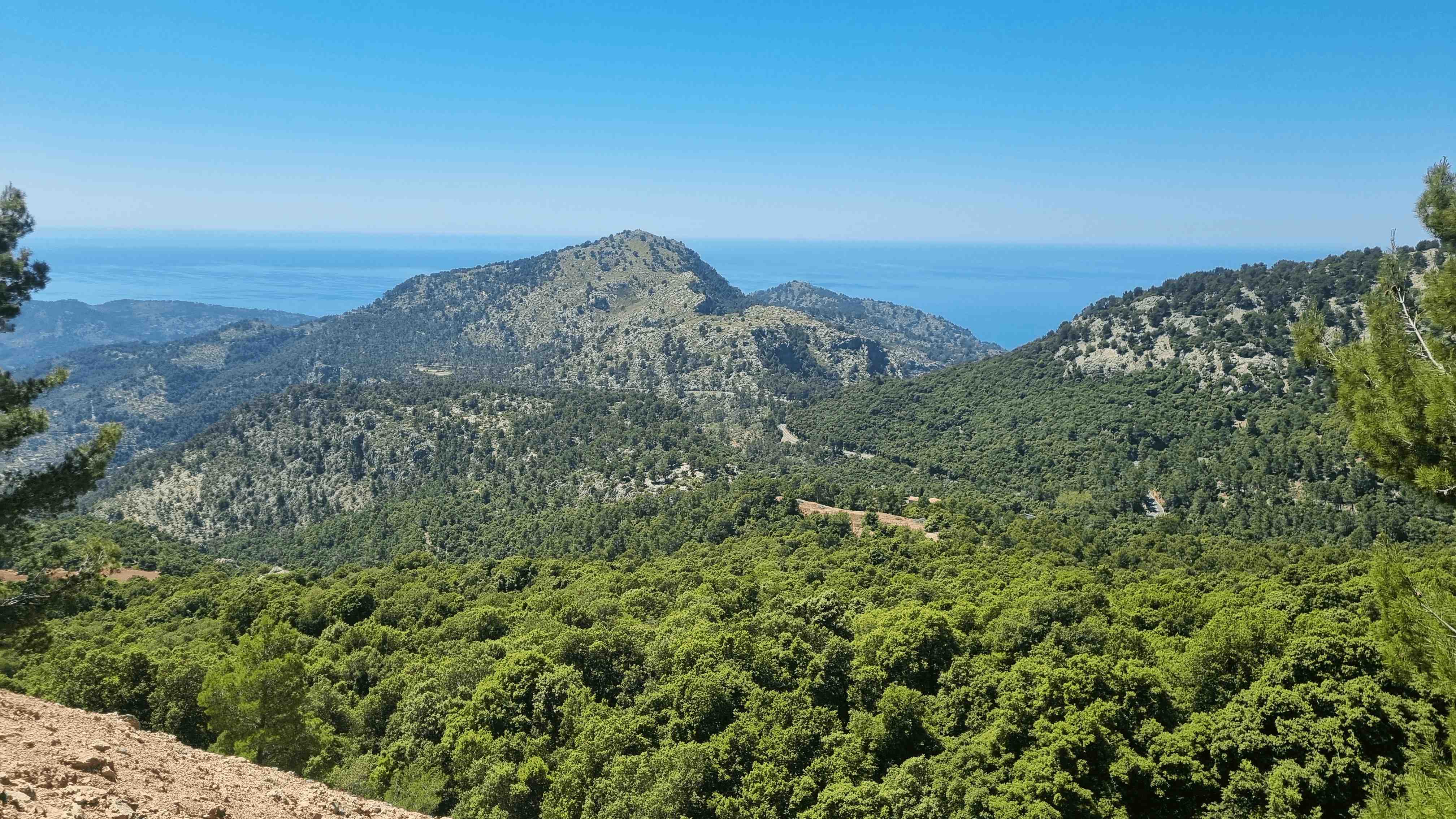 2025-Mallorca-Tag5 (28)