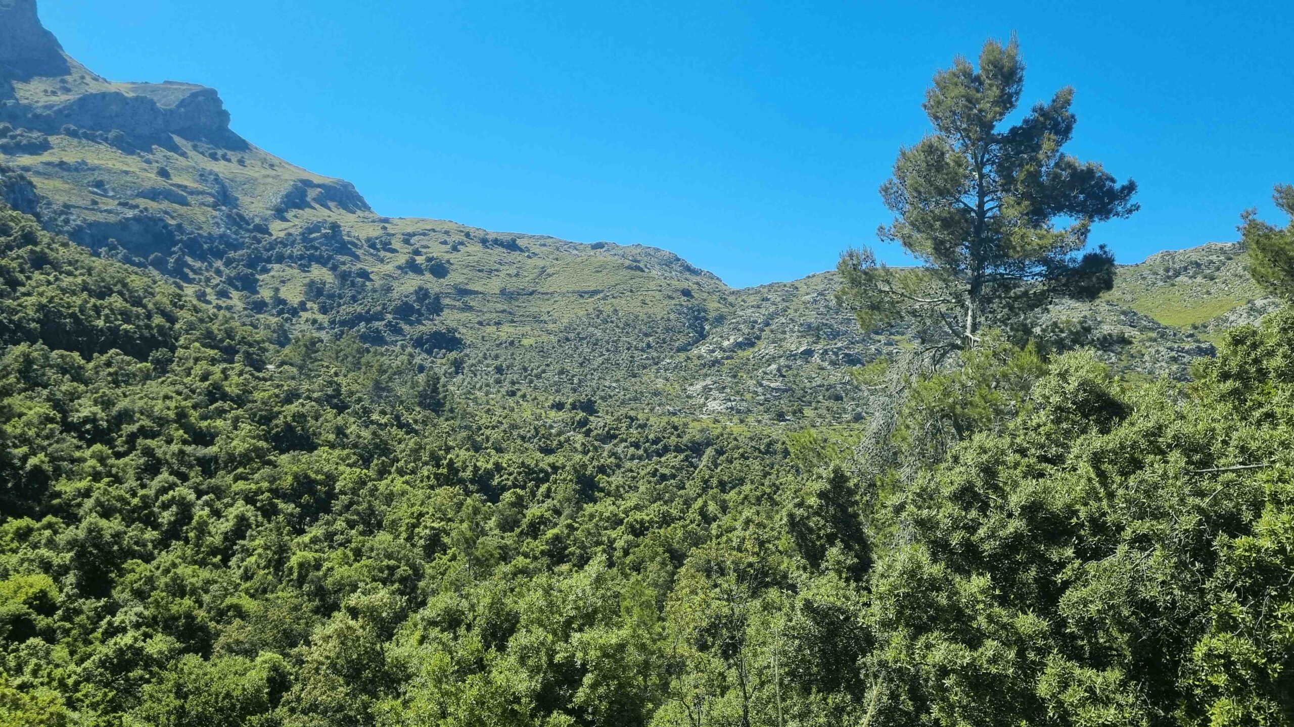 2025-Mallorca-Tag5 (41)