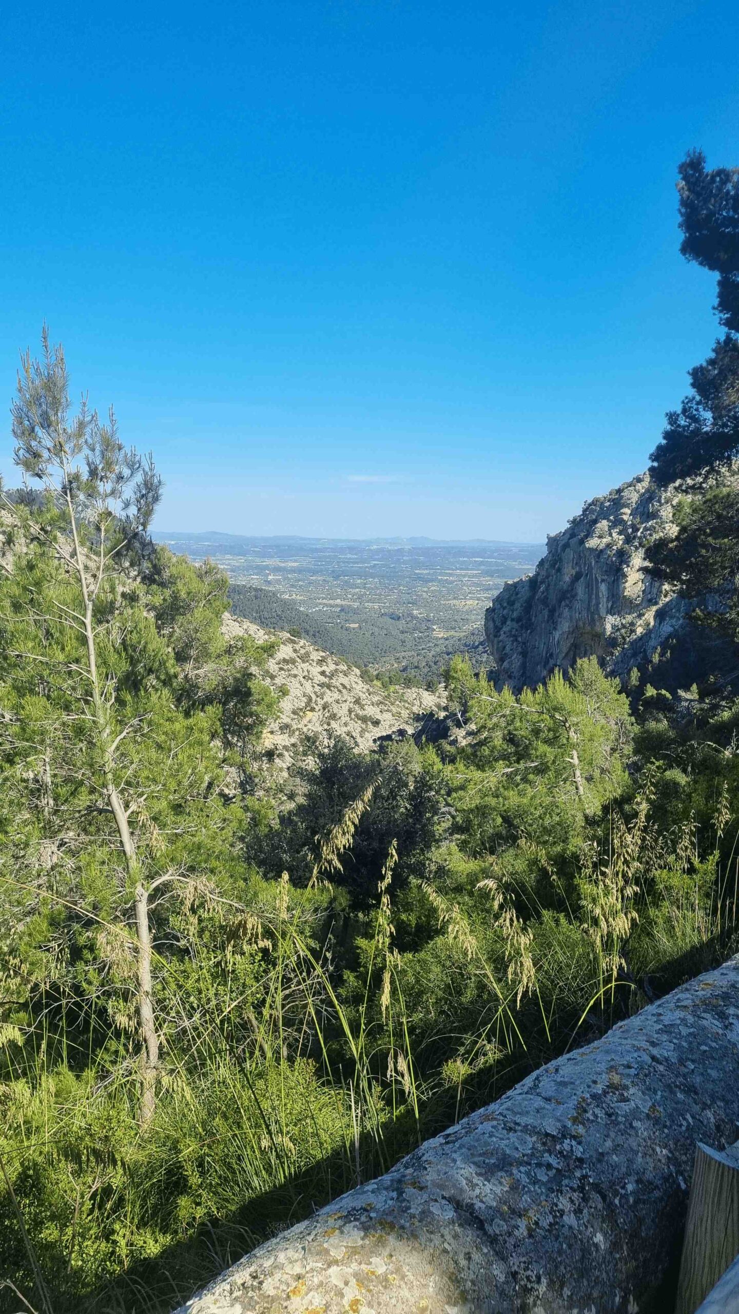 2025-Mallorca-Tag5 (42)