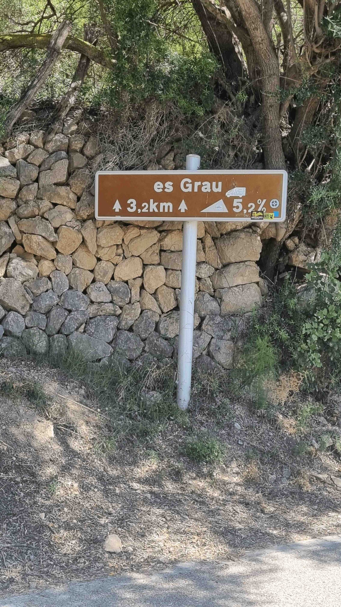 2025-Mallorca-Tag5 (8)