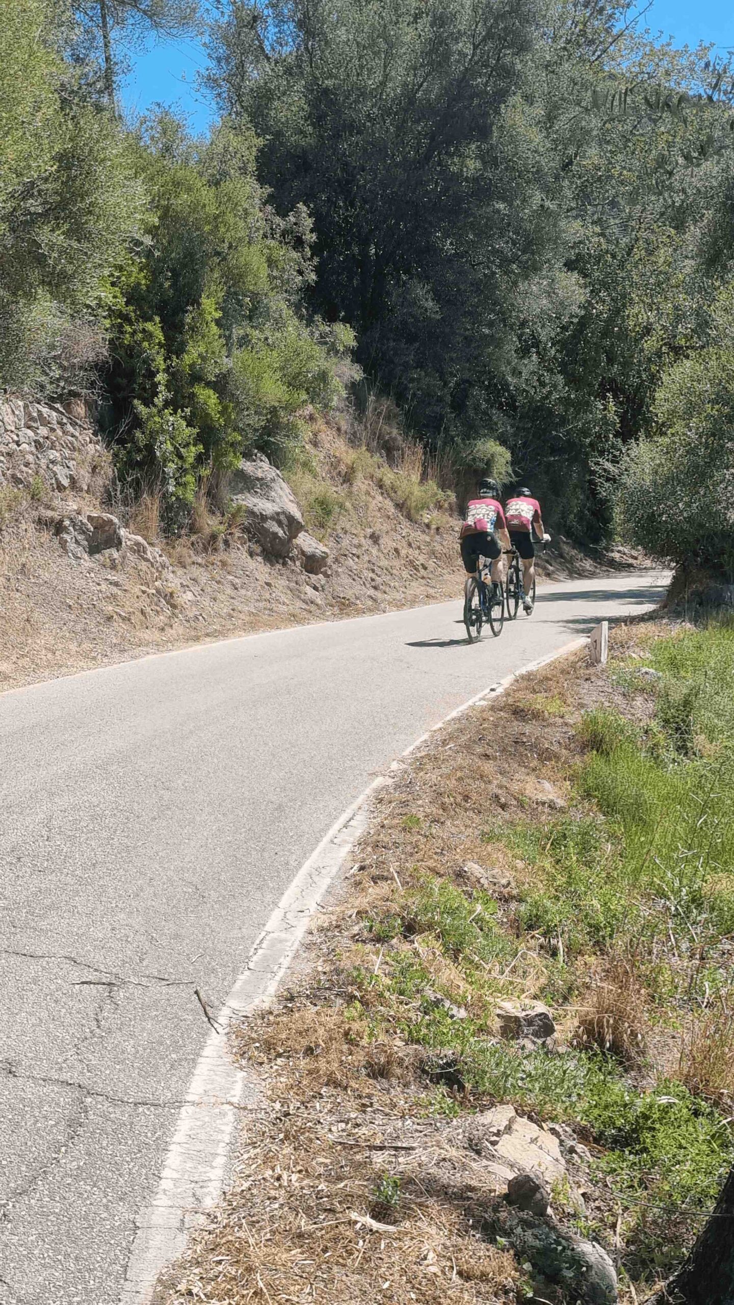 2025-Mallorca-Tag5 (9)