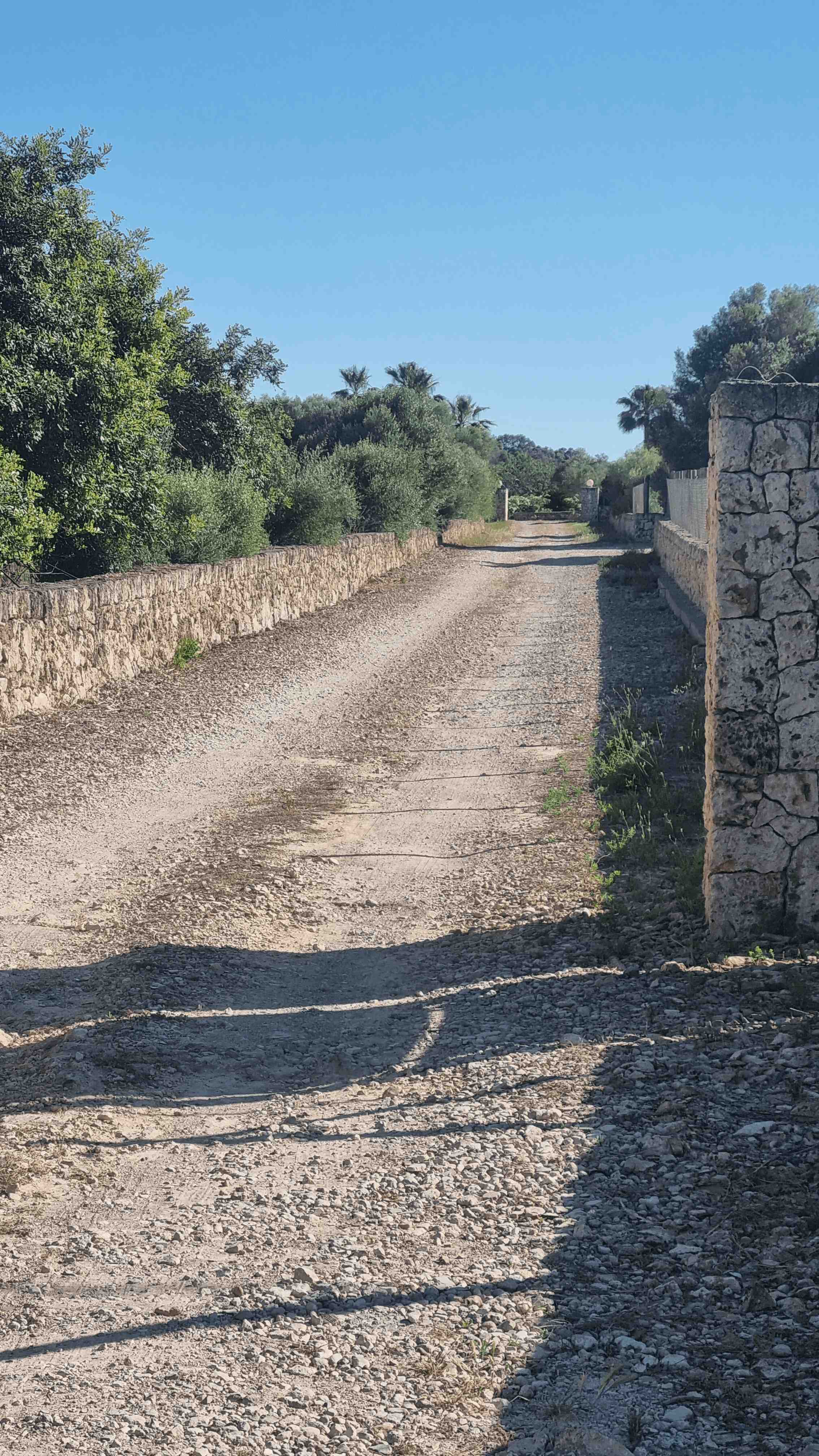 2025-Mallorca-Tag6 (1)