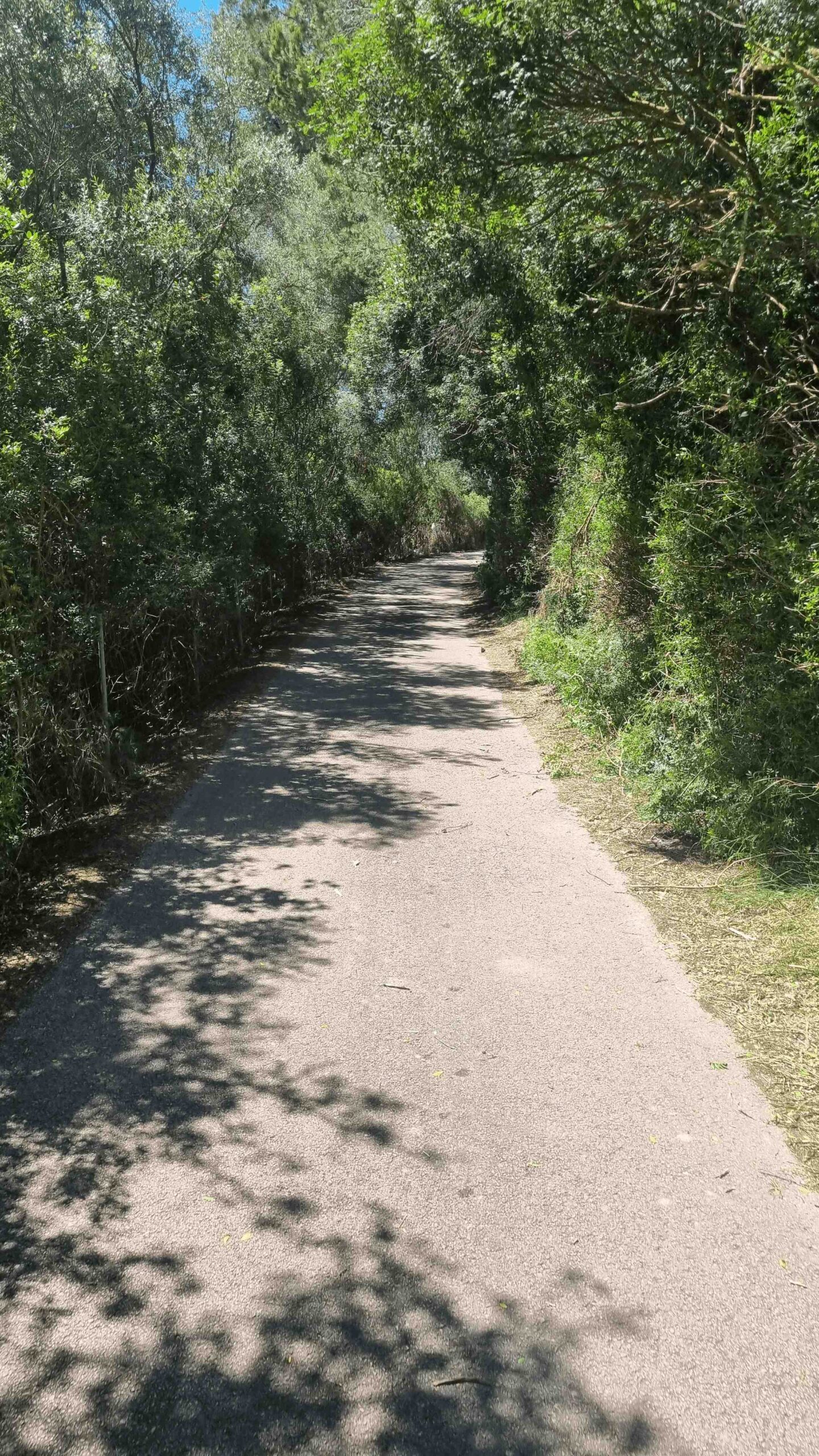 2025-Mallorca-Tag6 (12)