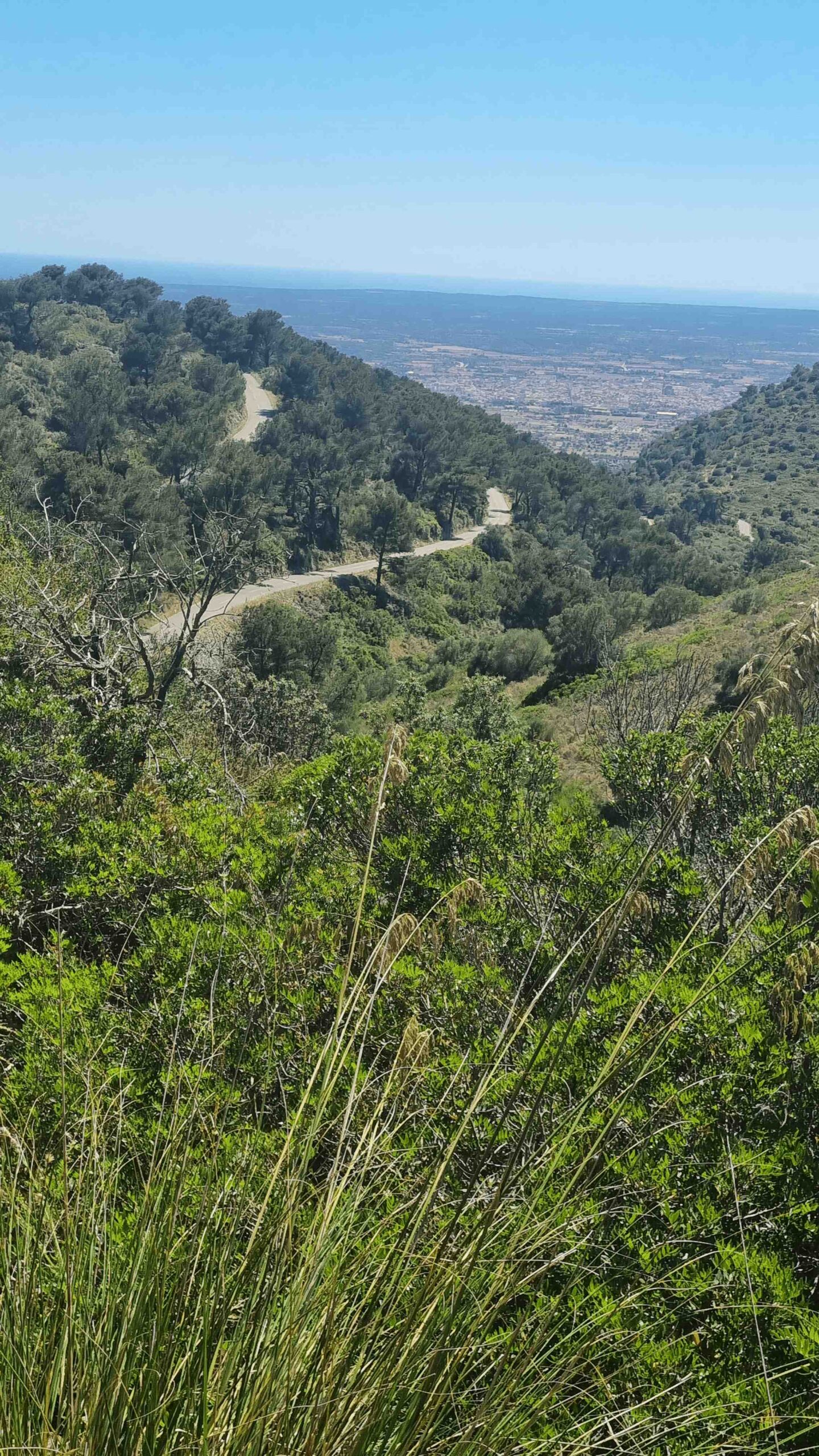 2025-Mallorca-Tag6 (23)