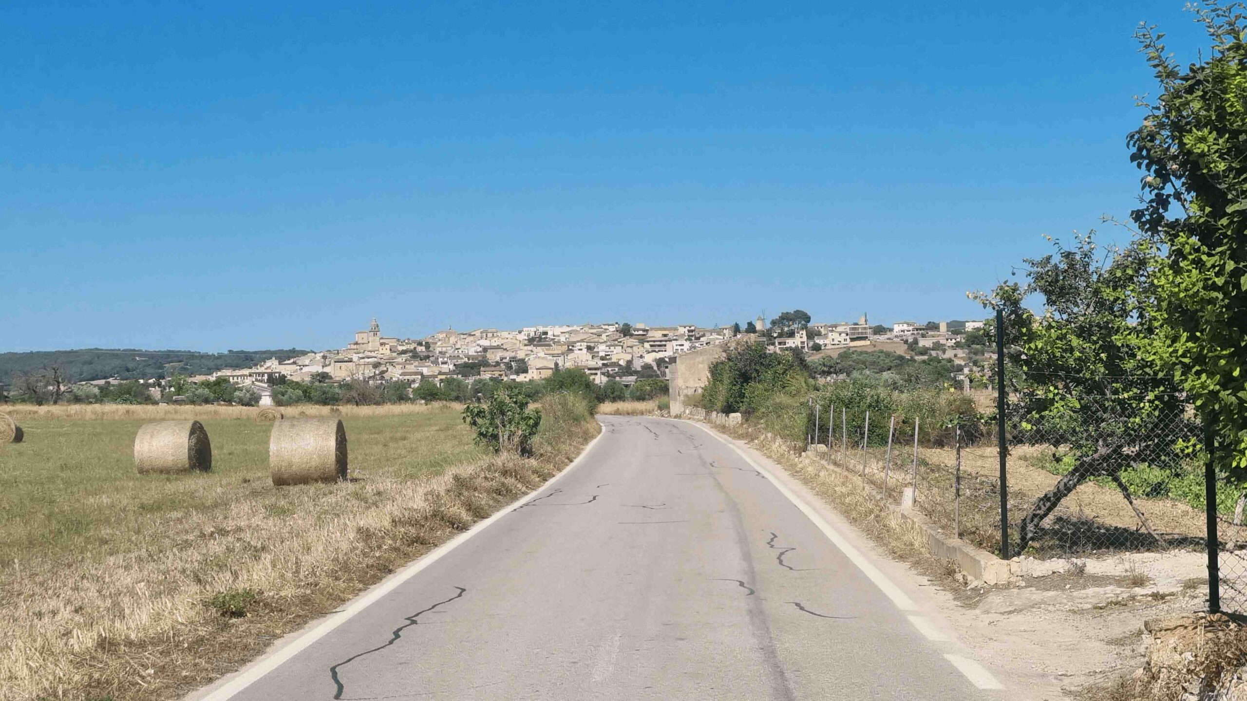 2025-Mallorca-Tag6 (24)