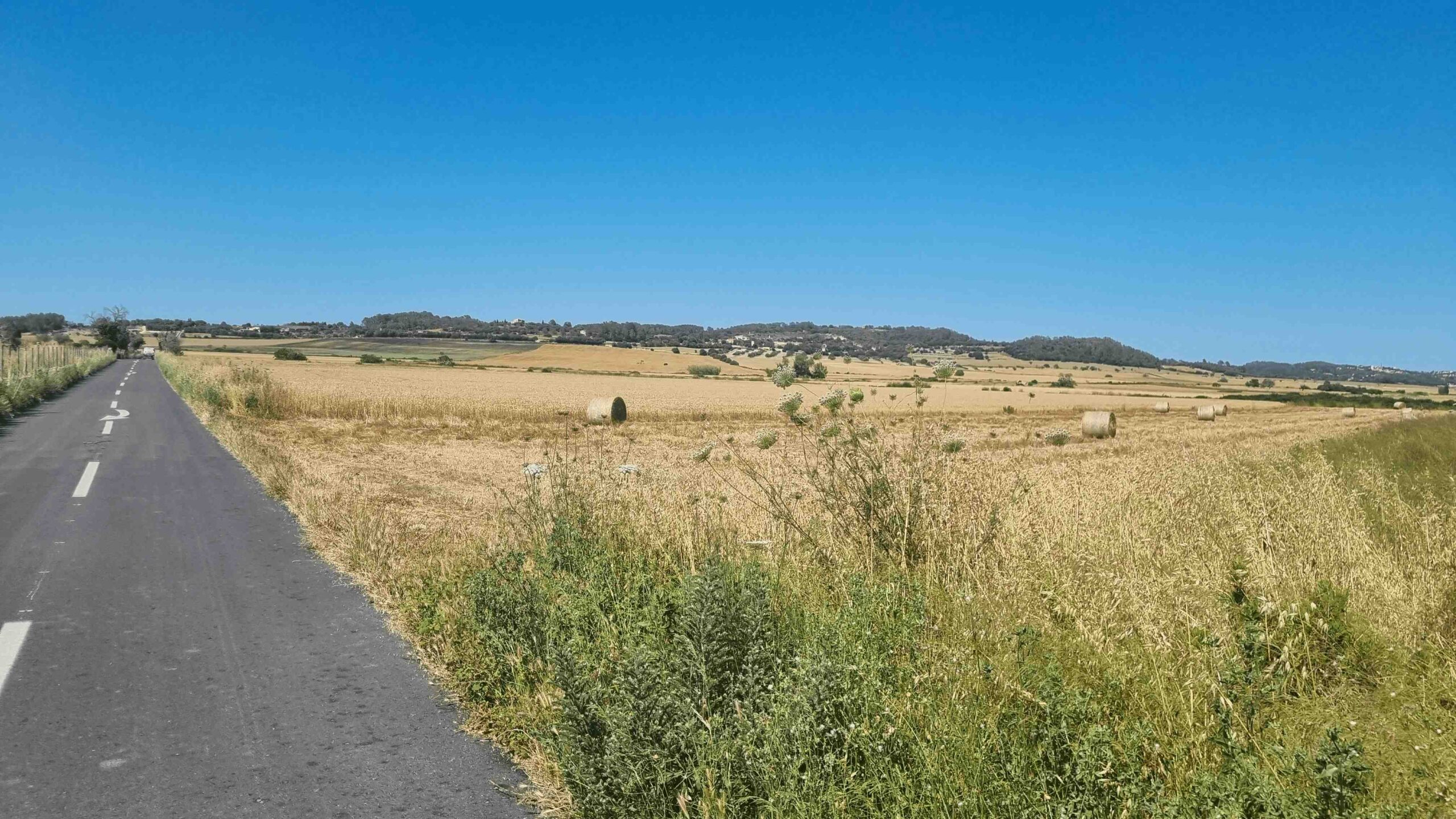 2025-Mallorca-Tag6 (25)