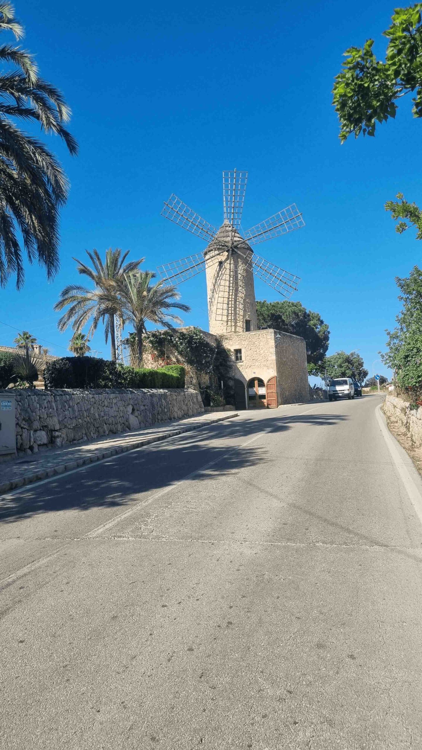 2025-Mallorca-Tag6 (27)