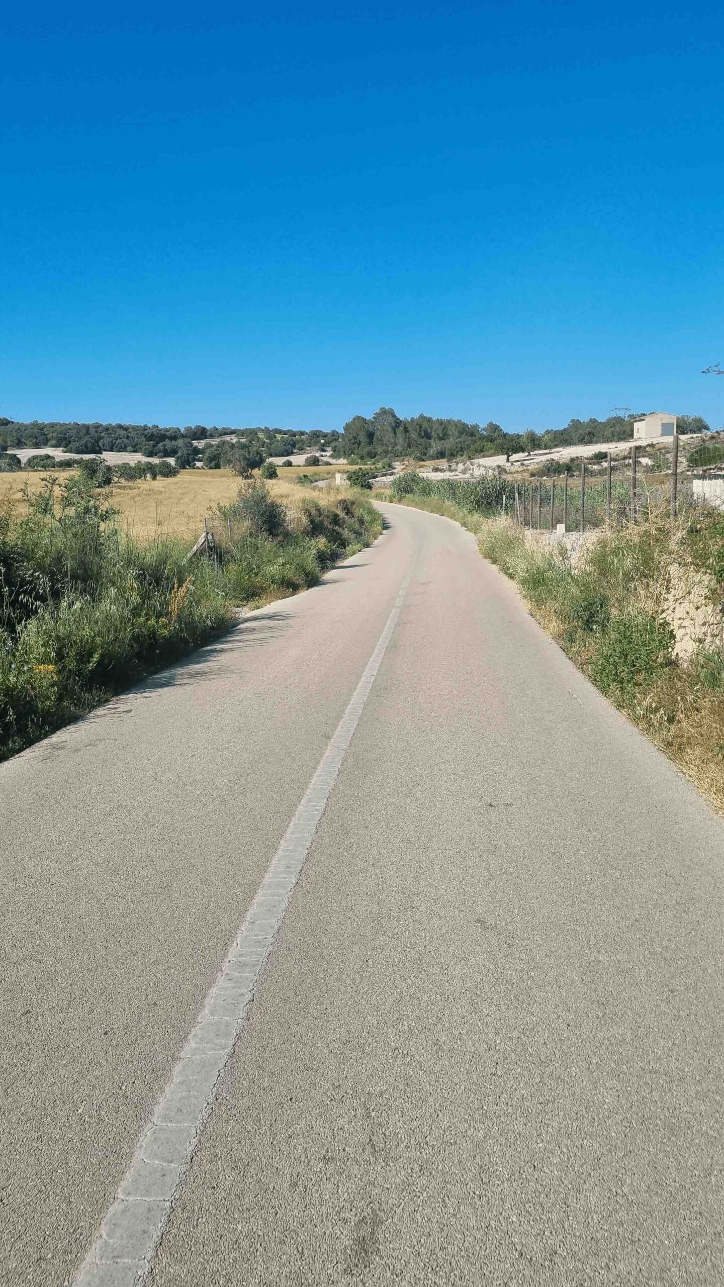 2025-Mallorca-Tag6 (28)