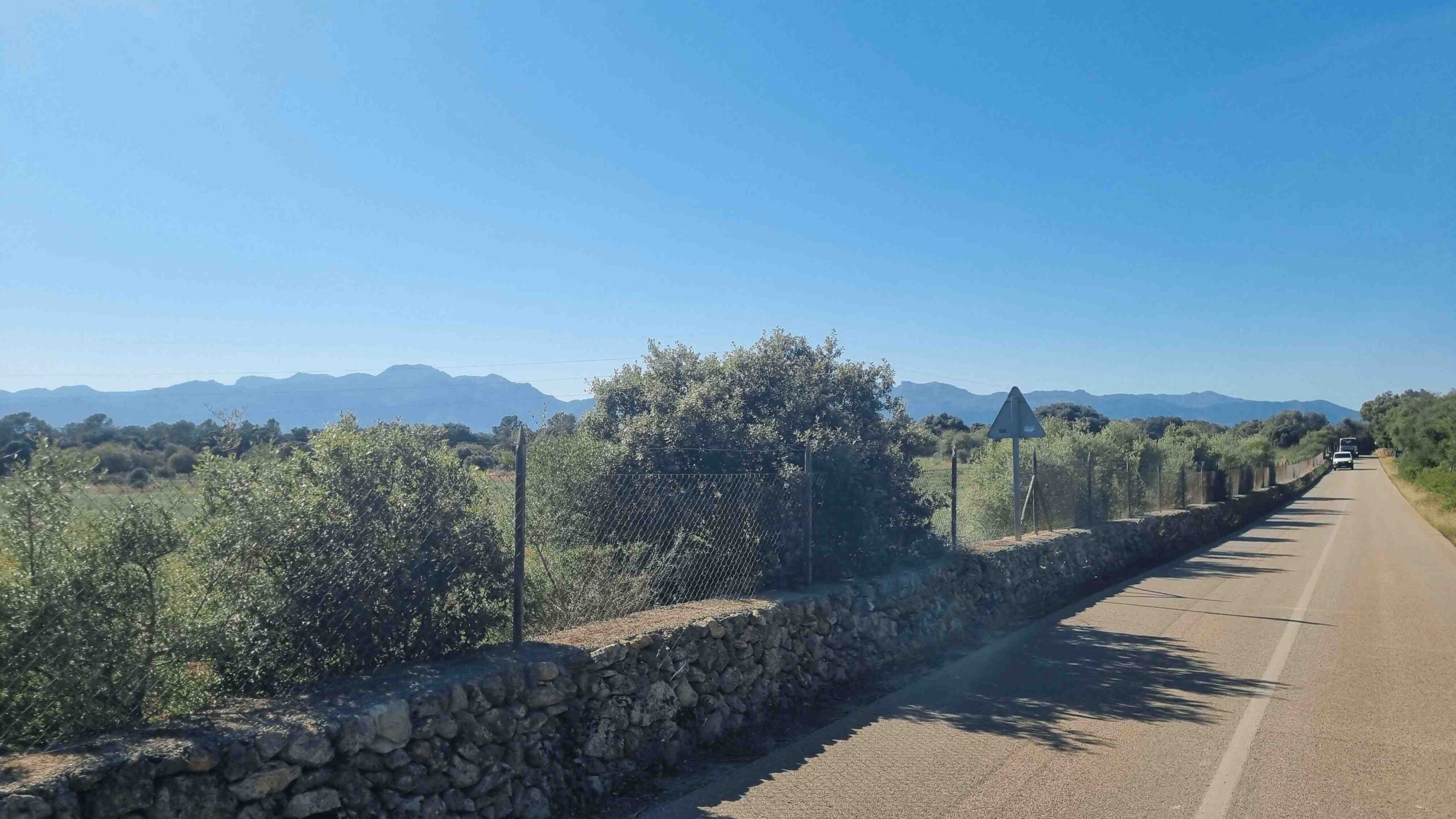 2025-Mallorca-Tag6 (29)