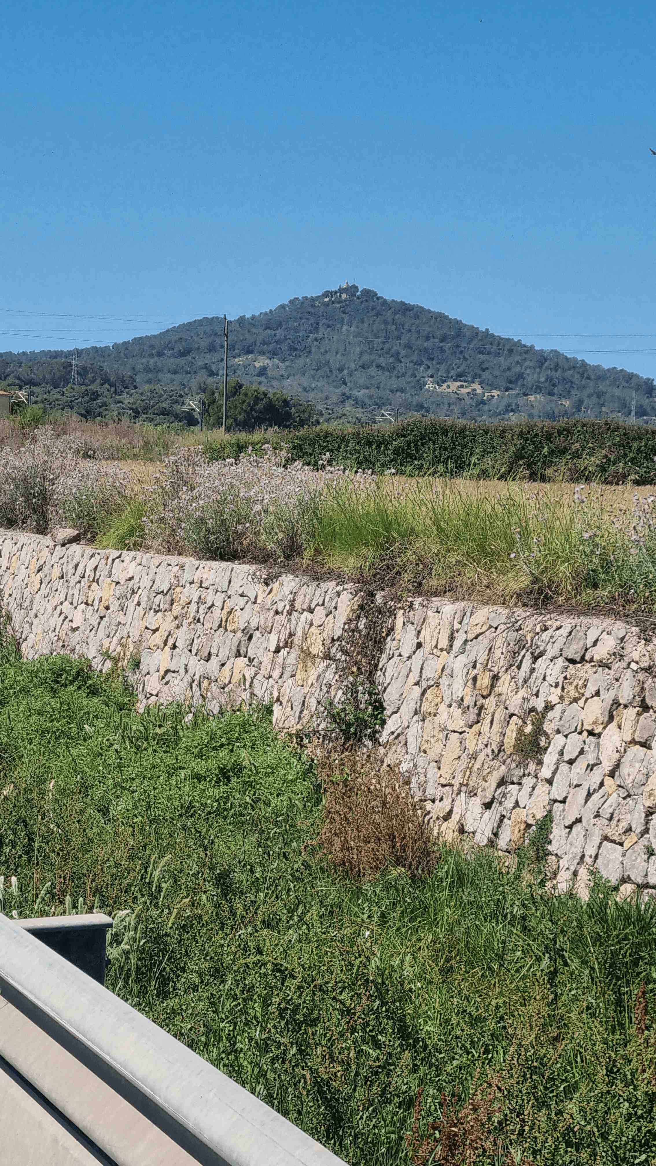 2025-Mallorca-Tag6 (4)