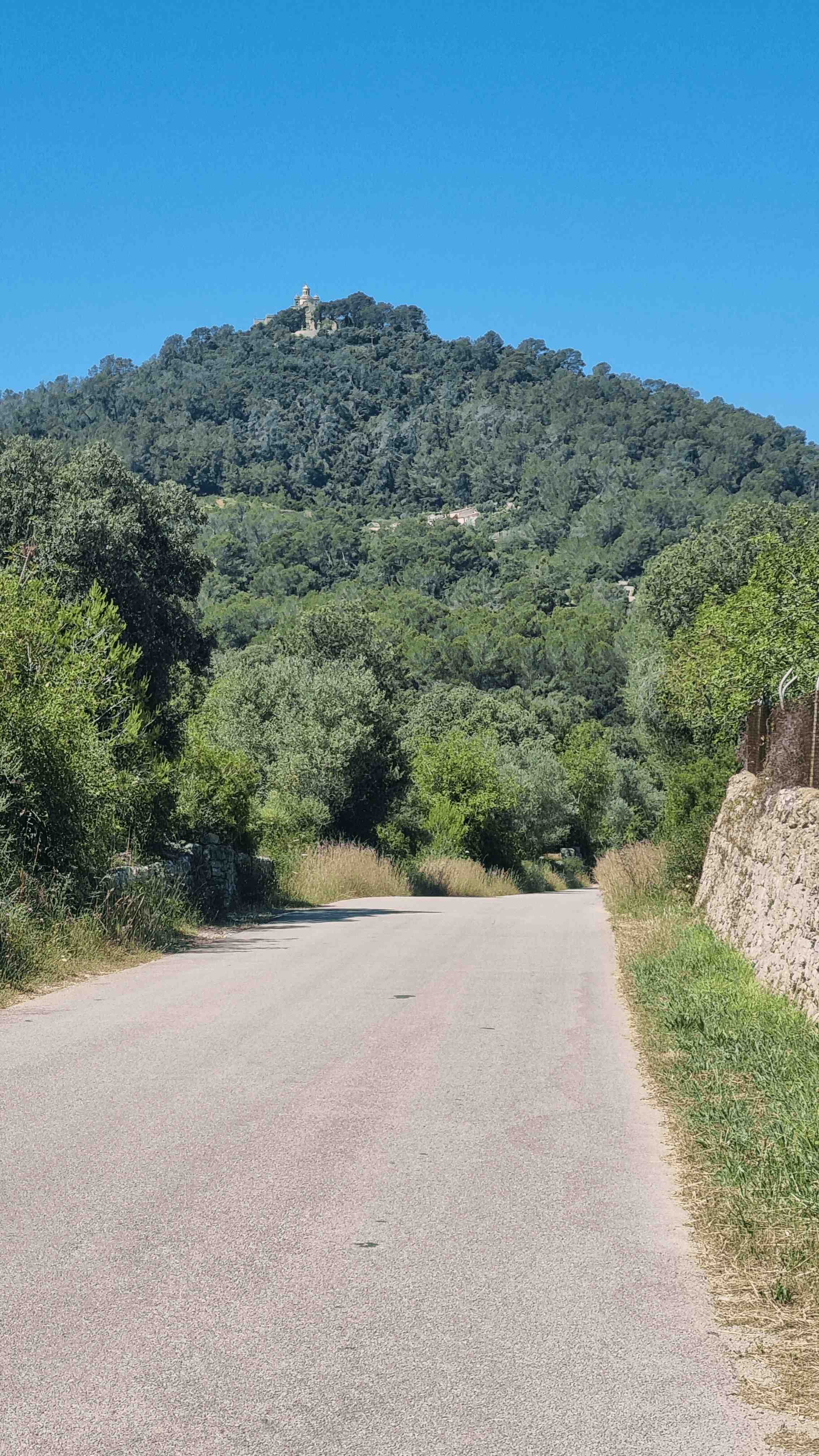 2025-Mallorca-Tag6 (5)