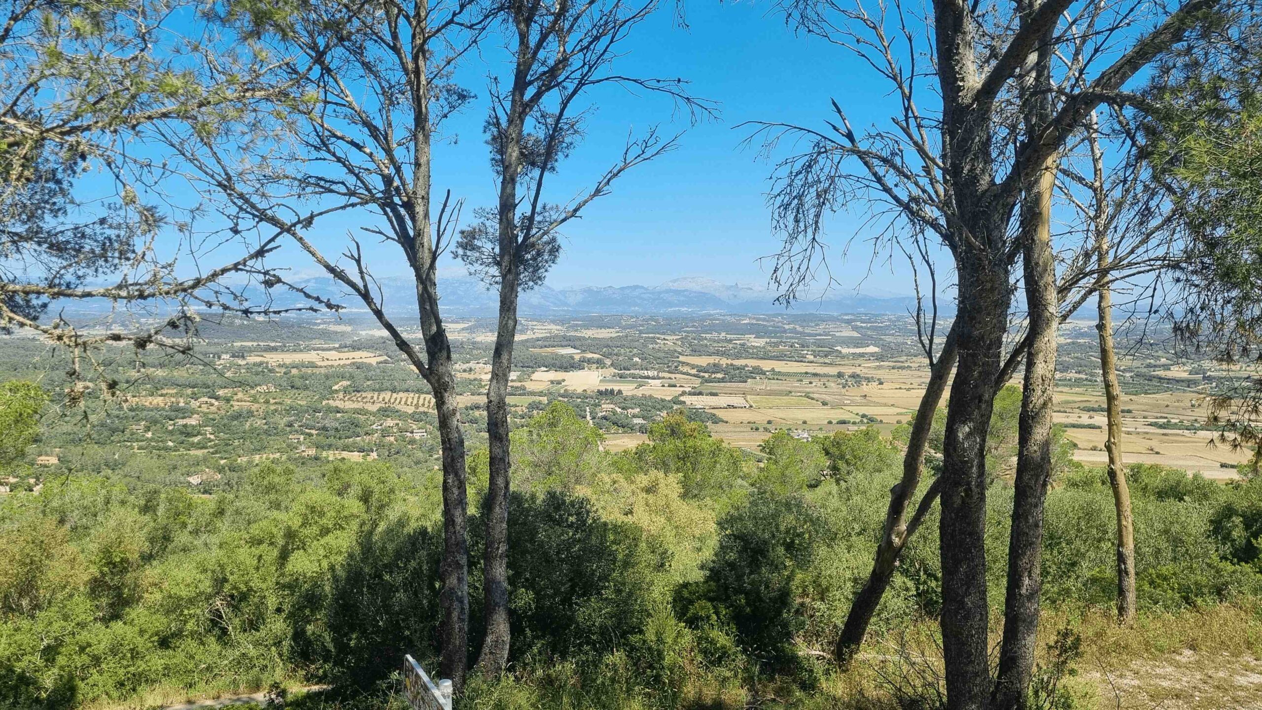 2025-Mallorca-Tag6 (9)