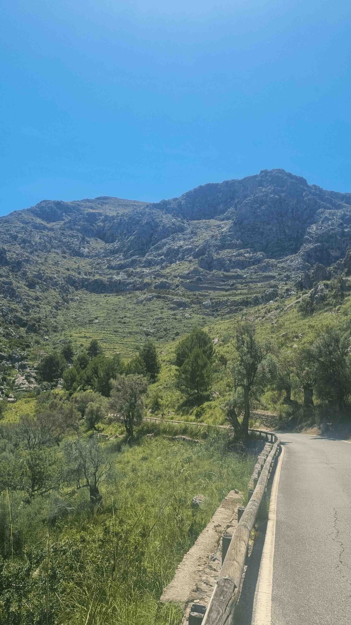2025-Mallorca-Tag7 (18)