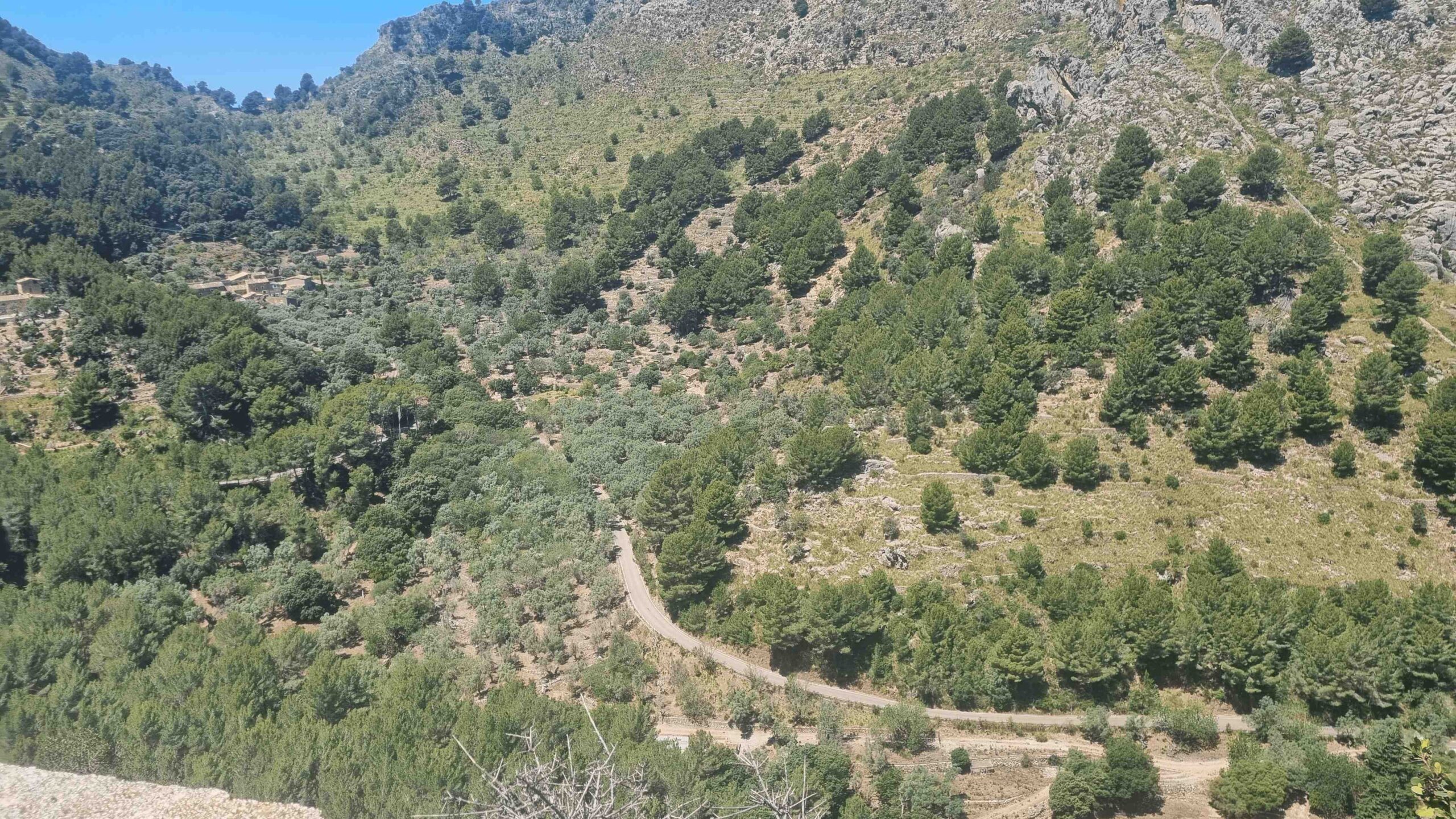 2025-Mallorca-Tag7 (20)