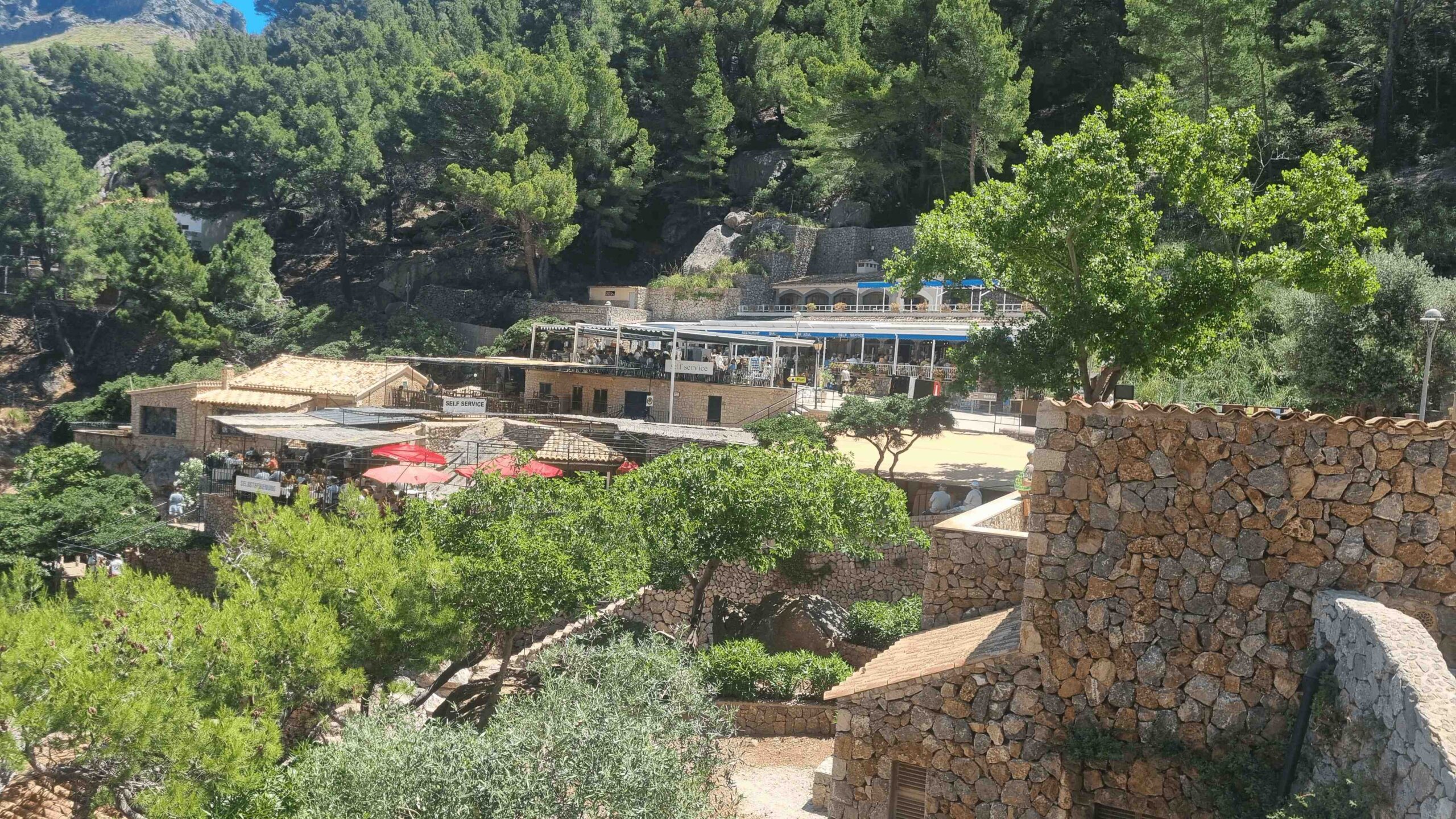 2025-Mallorca-Tag7 (23)