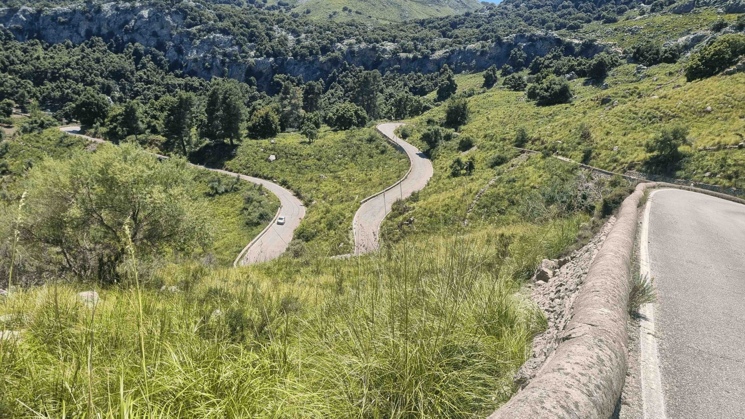 2025-Mallorca-Tag7 (31)