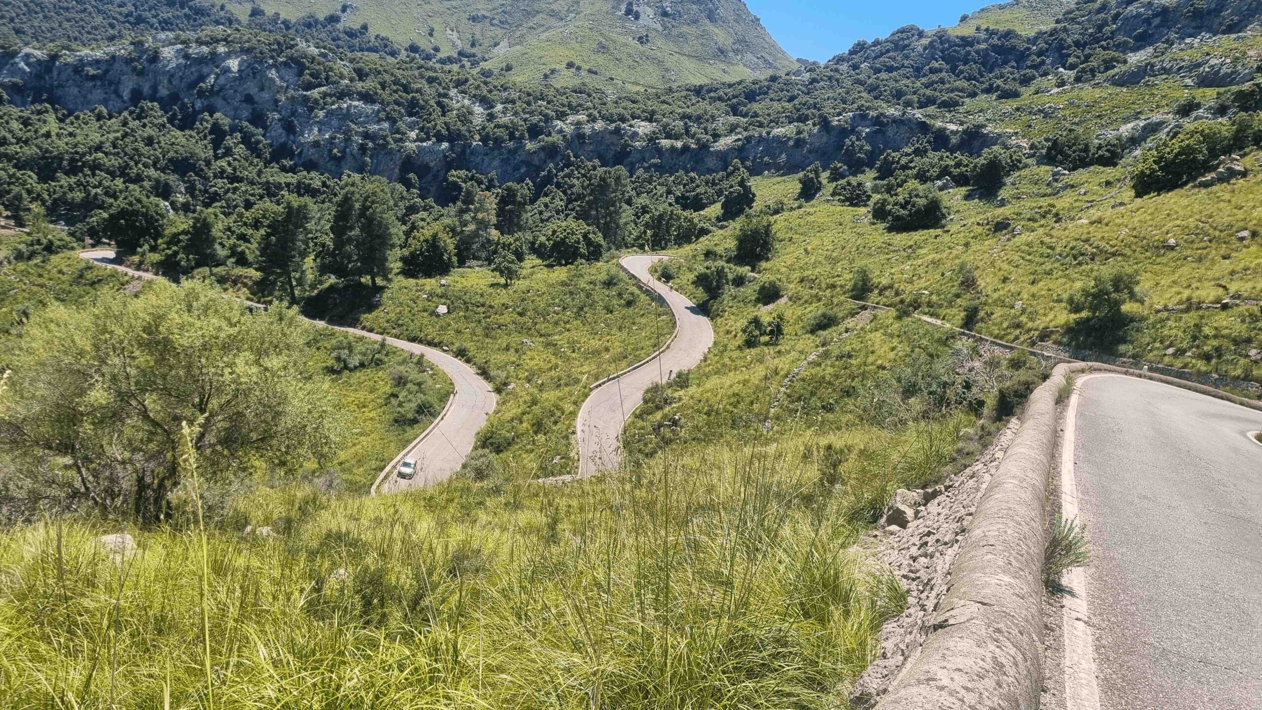 2025-Mallorca-Tag7 (32)