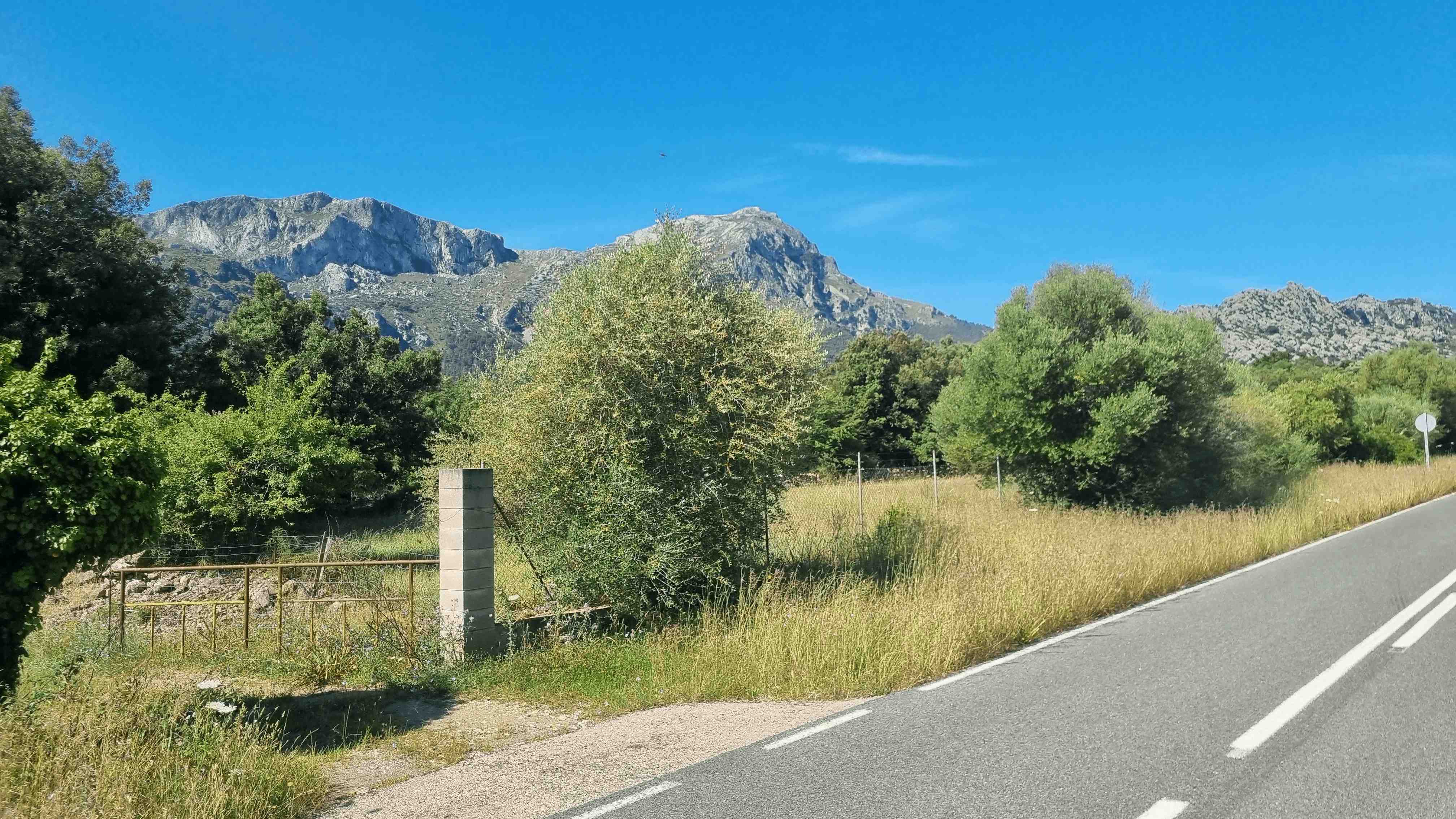 2025-Mallorca-Tag7 (5)