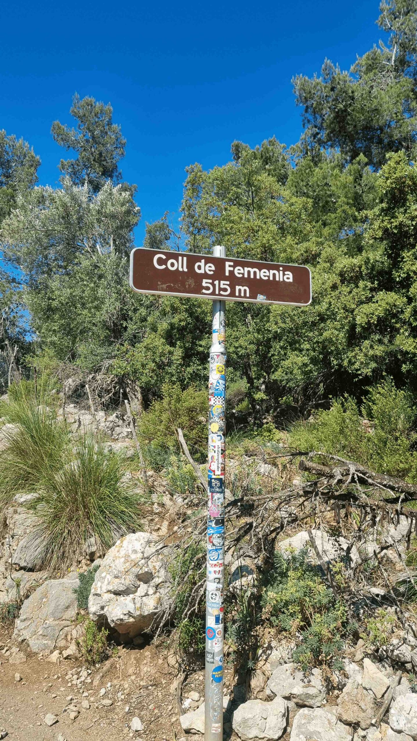 2025-Mallorca-Tag7 (8)