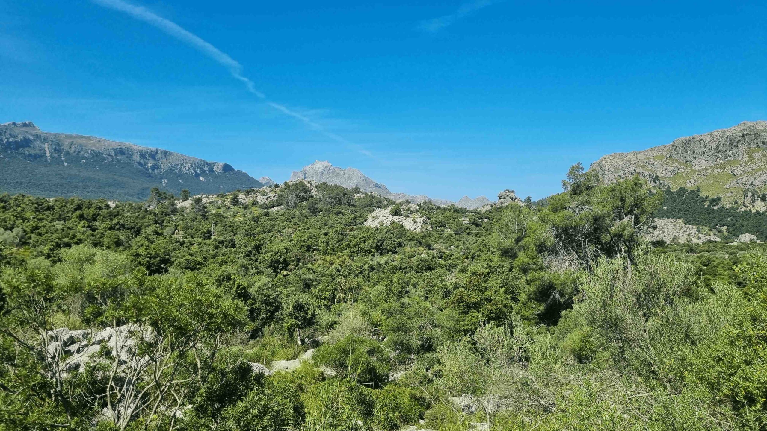 2025-Mallorca-Tag7 (9)