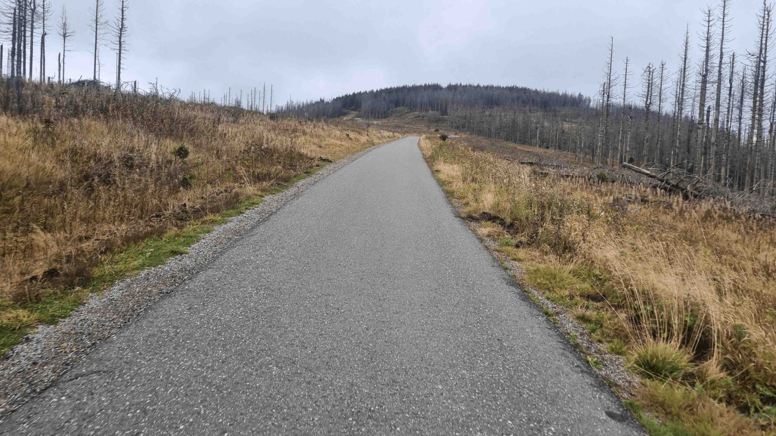 2025-BikePacking-Tag1 (15)