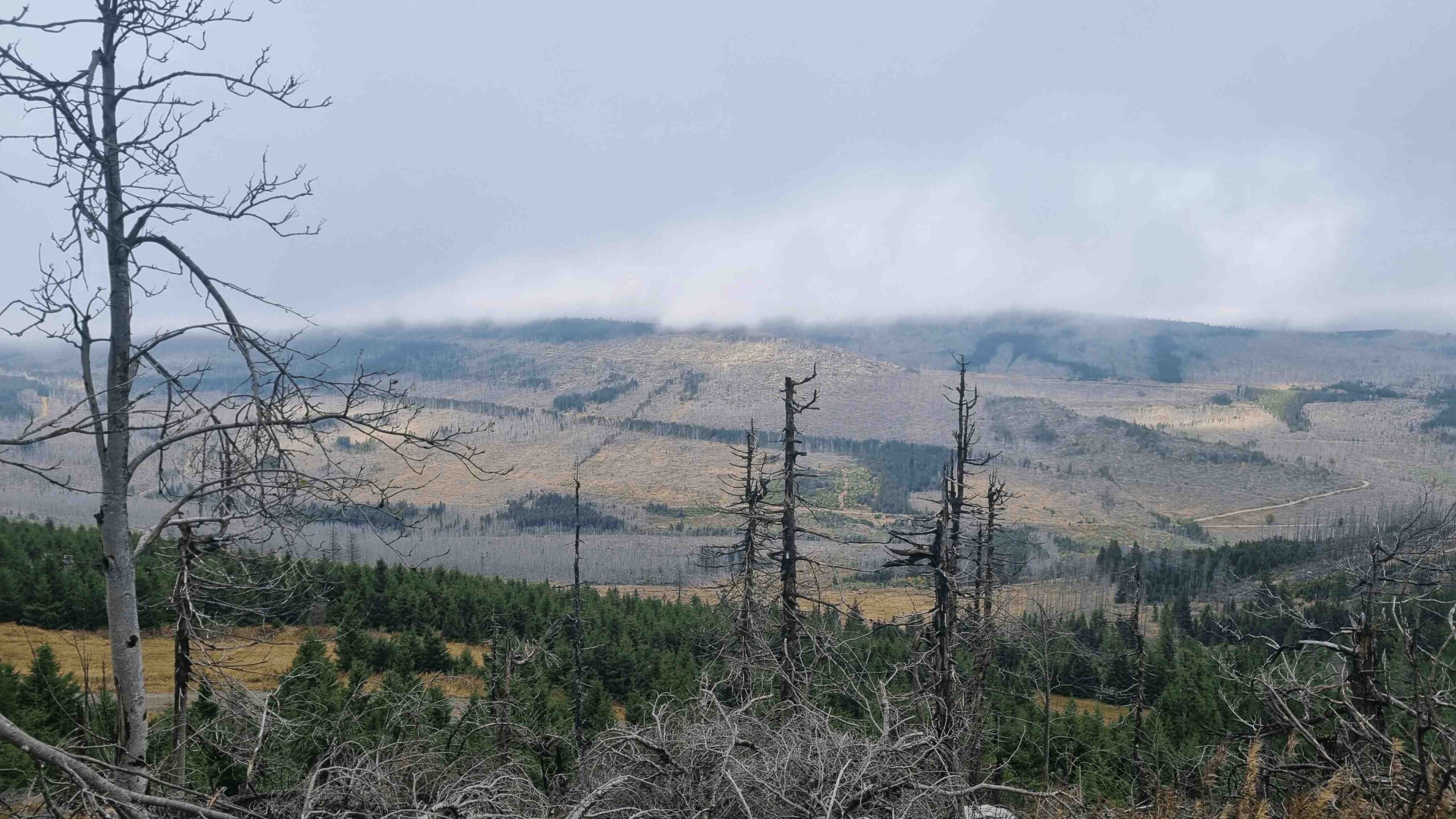 2025-BikePacking-Tag1 (18)