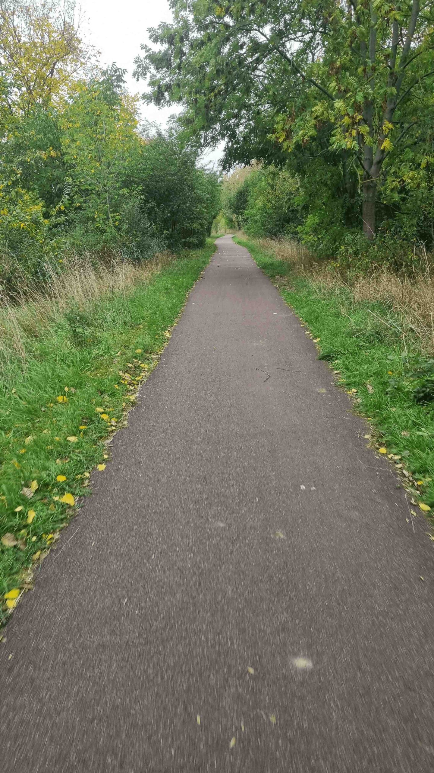 2025-BikePacking-Tag2 (16)