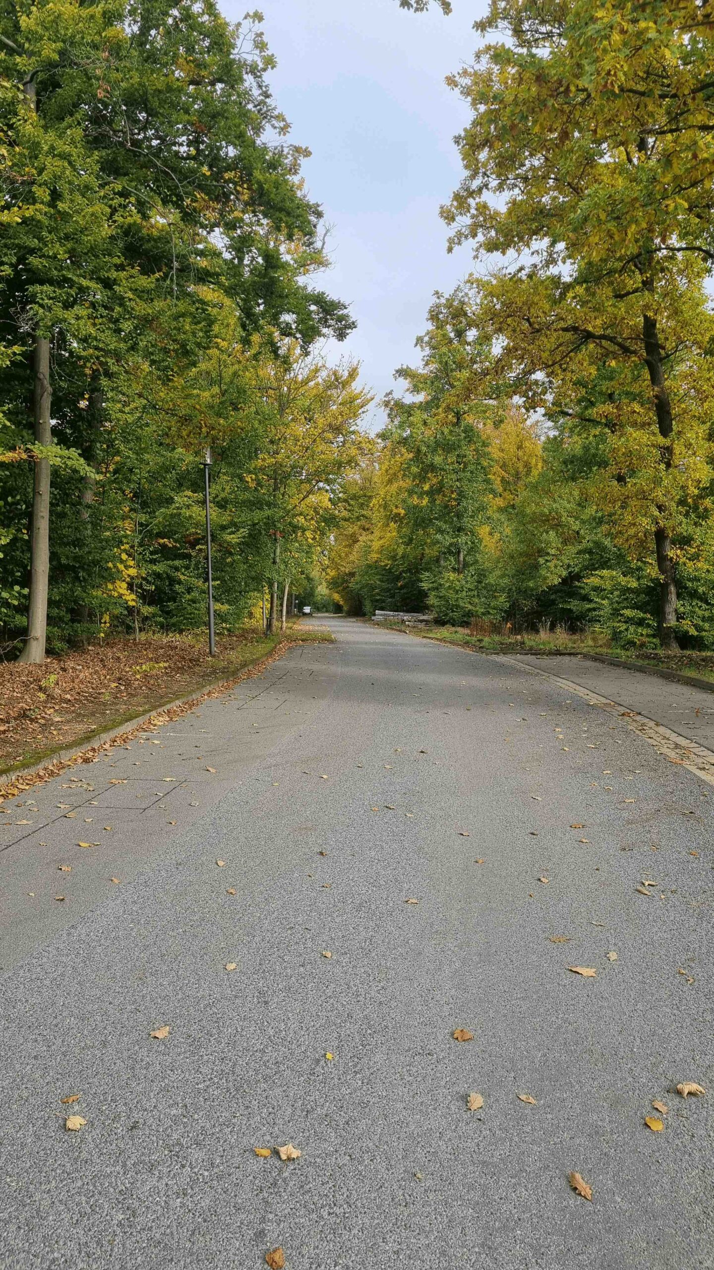 2025-BikePacking-Tag2 (8)