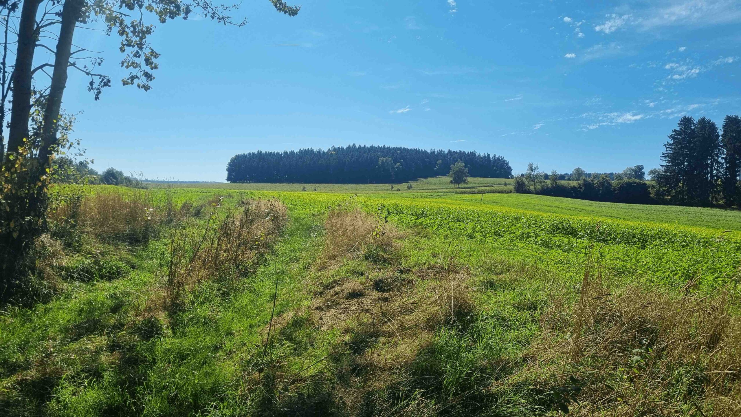 2025-Fichtelgebirge (10)