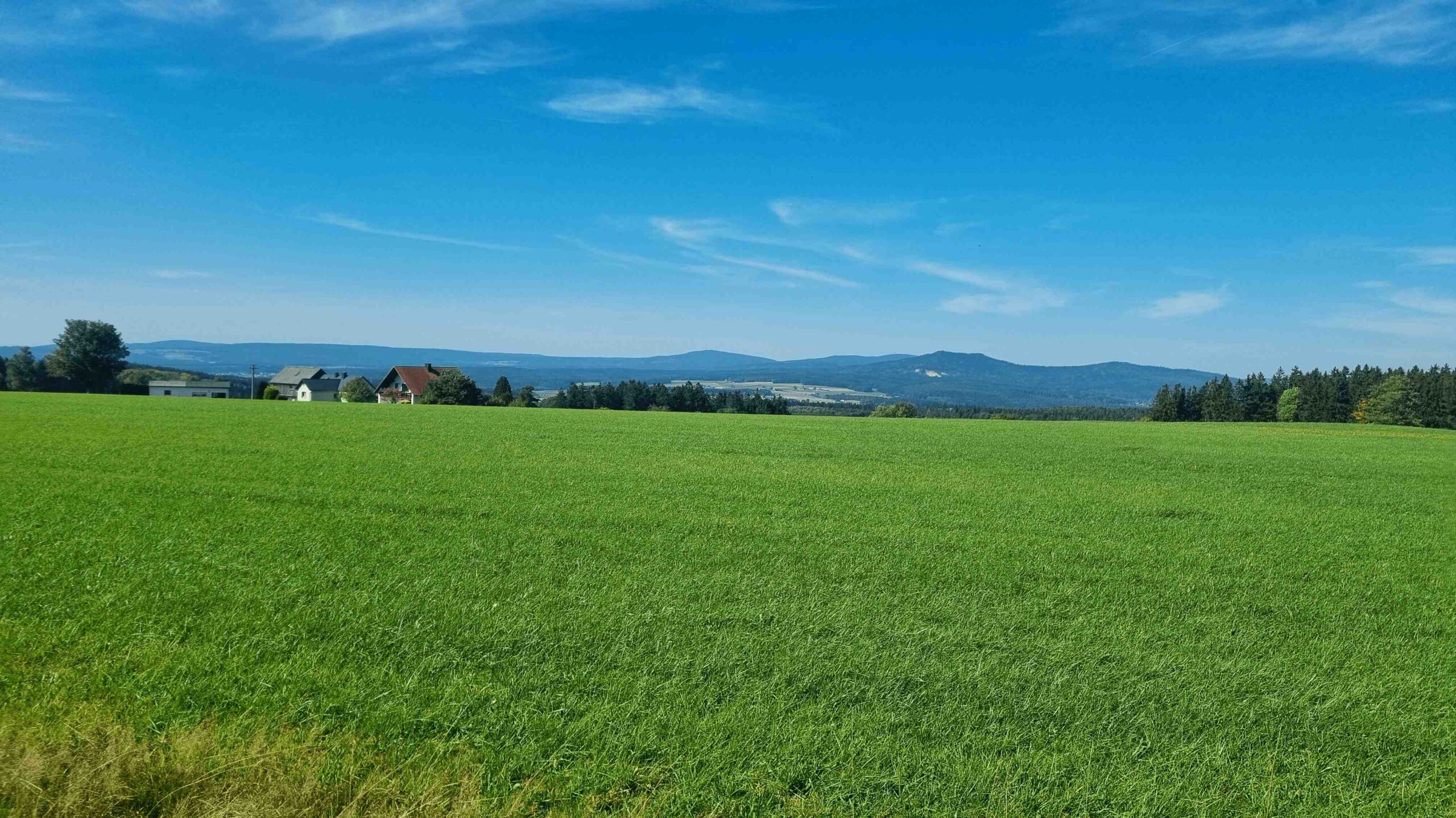 2025-Fichtelgebirge (12)