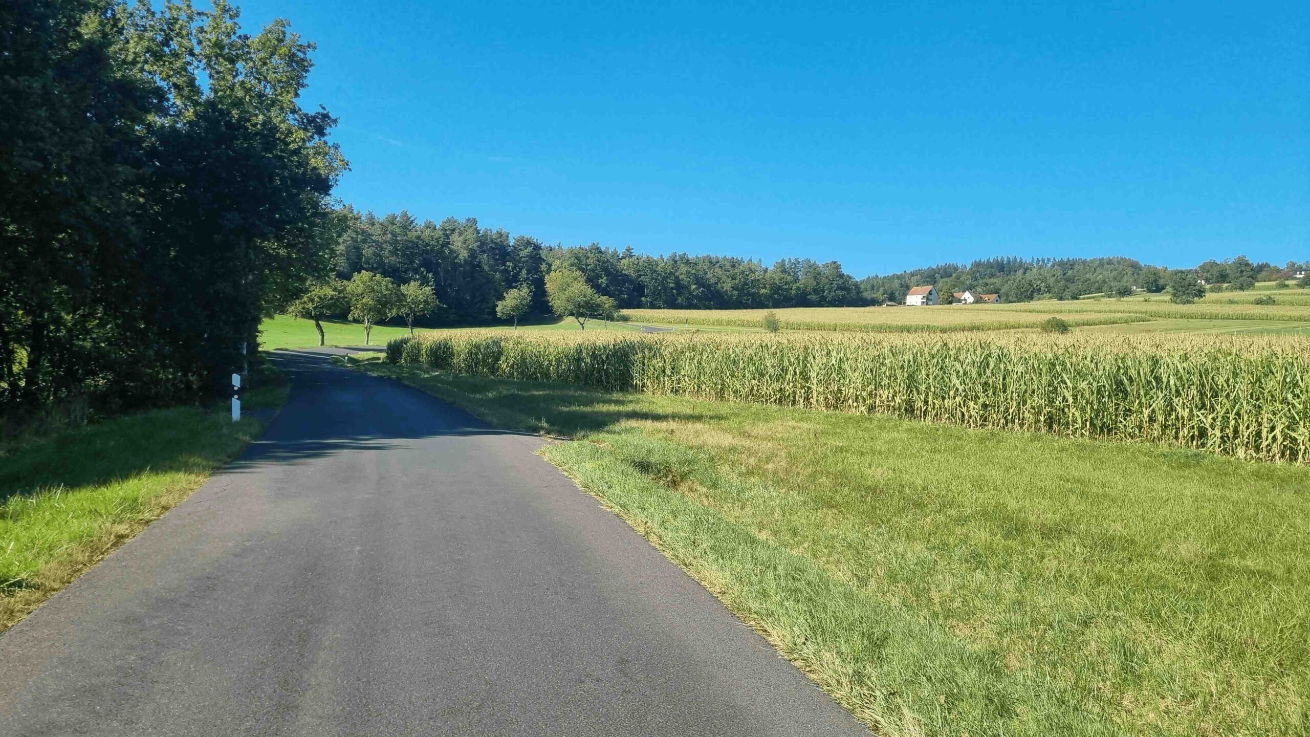 2025-Fichtelgebirge (17)