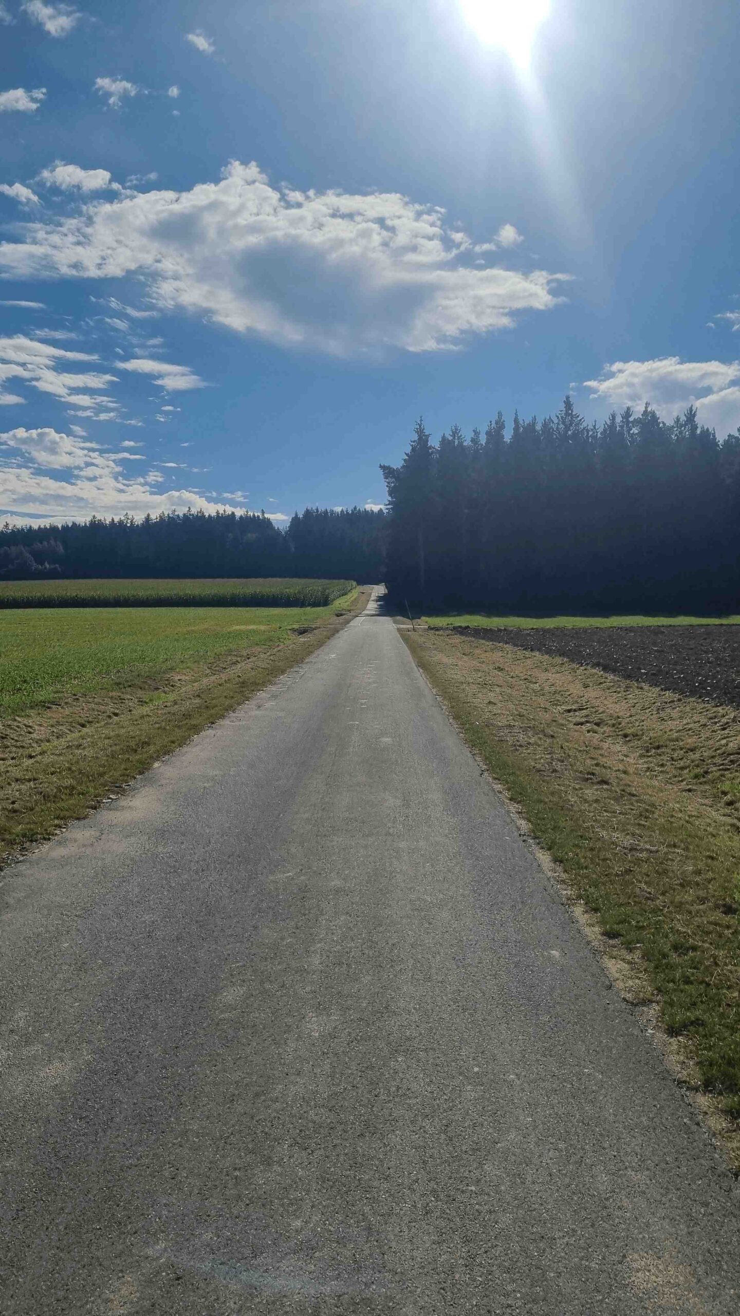 2025-Fichtelgebirge (4)