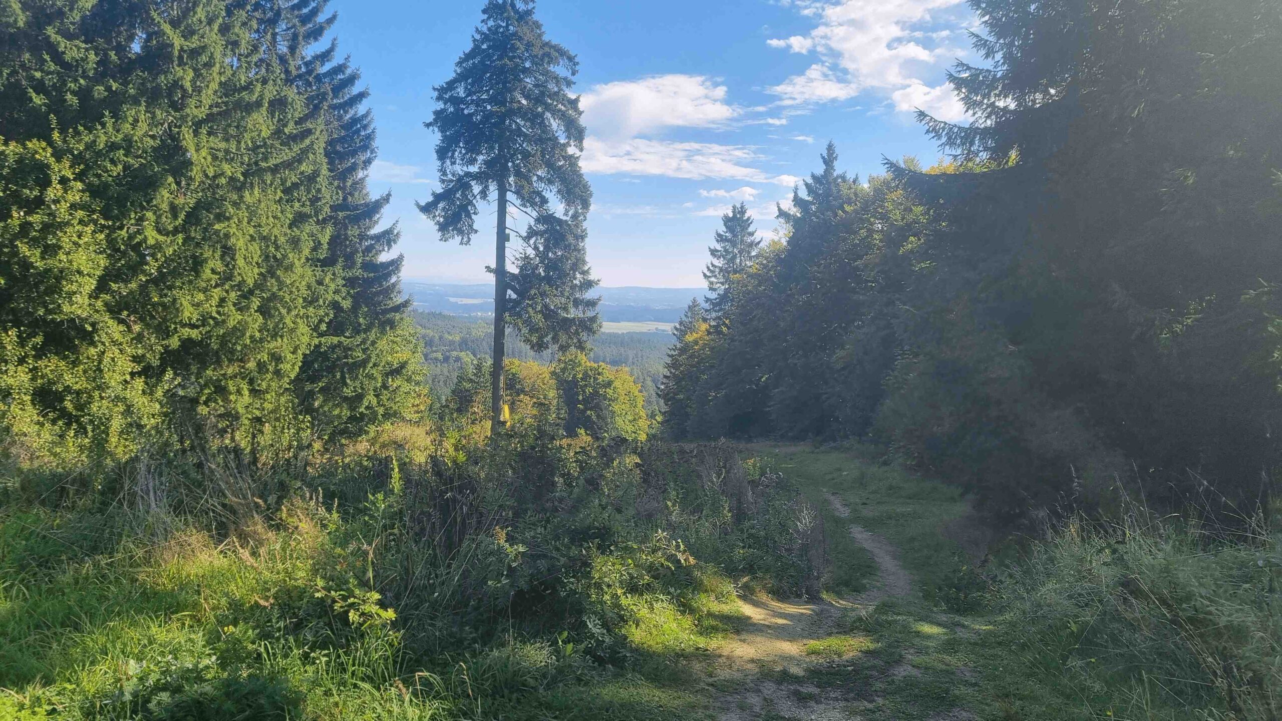 2025-Fichtelgebirge (6)