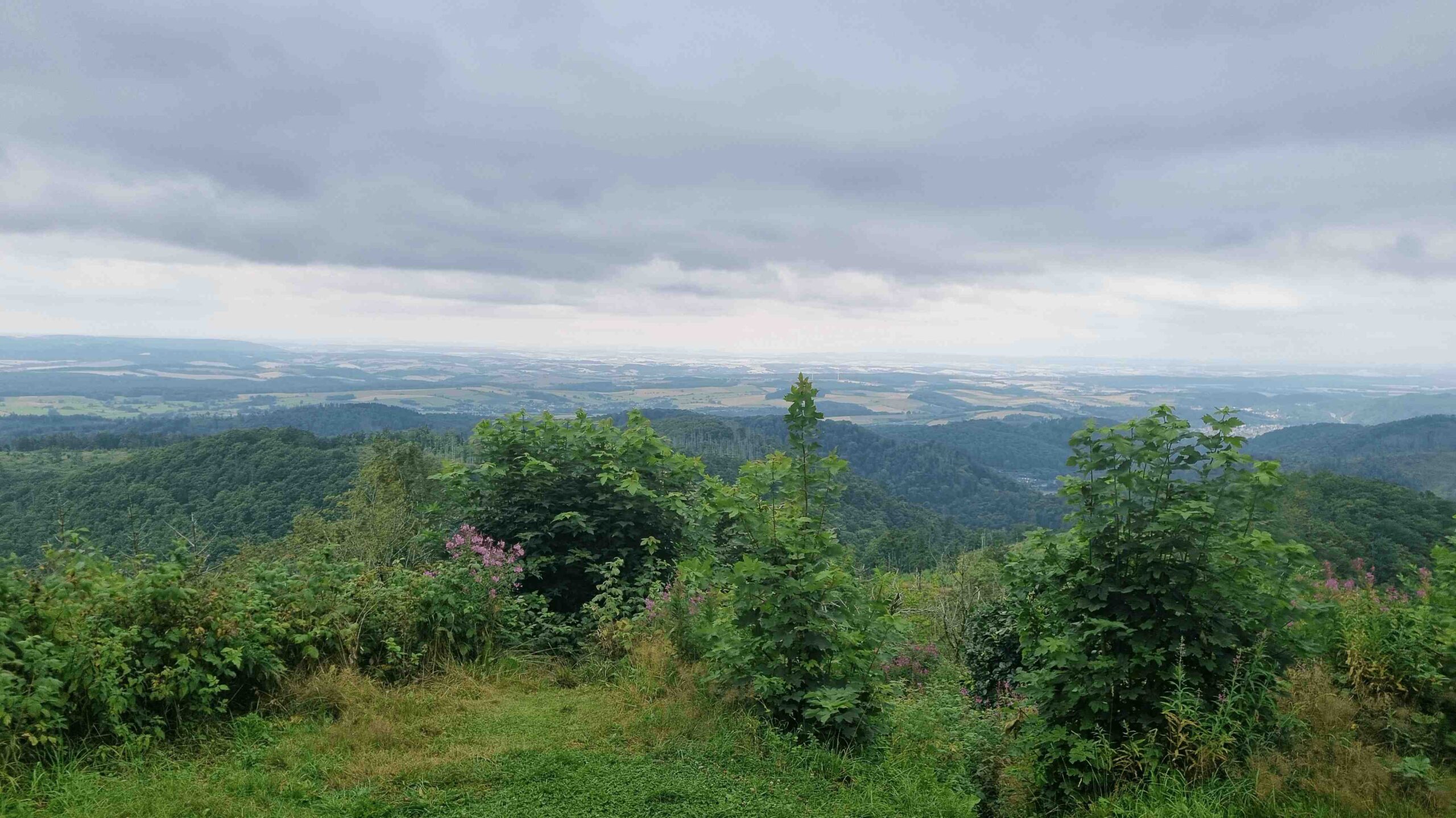 2025-Harz-Tag1 (12)