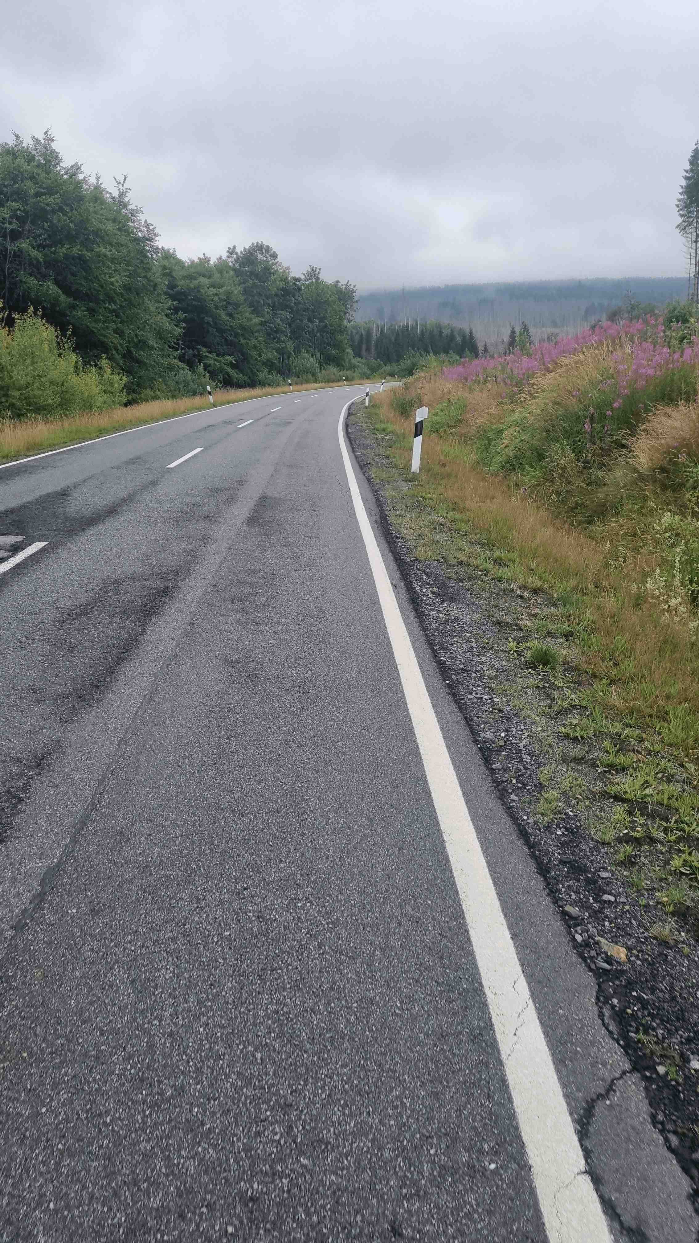 2025-Harz-Tag1 (2)