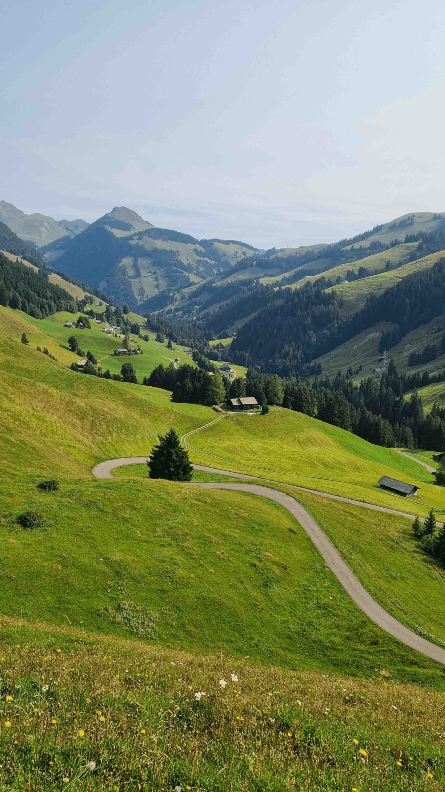 2025-Schweiz-Tour1 (11)