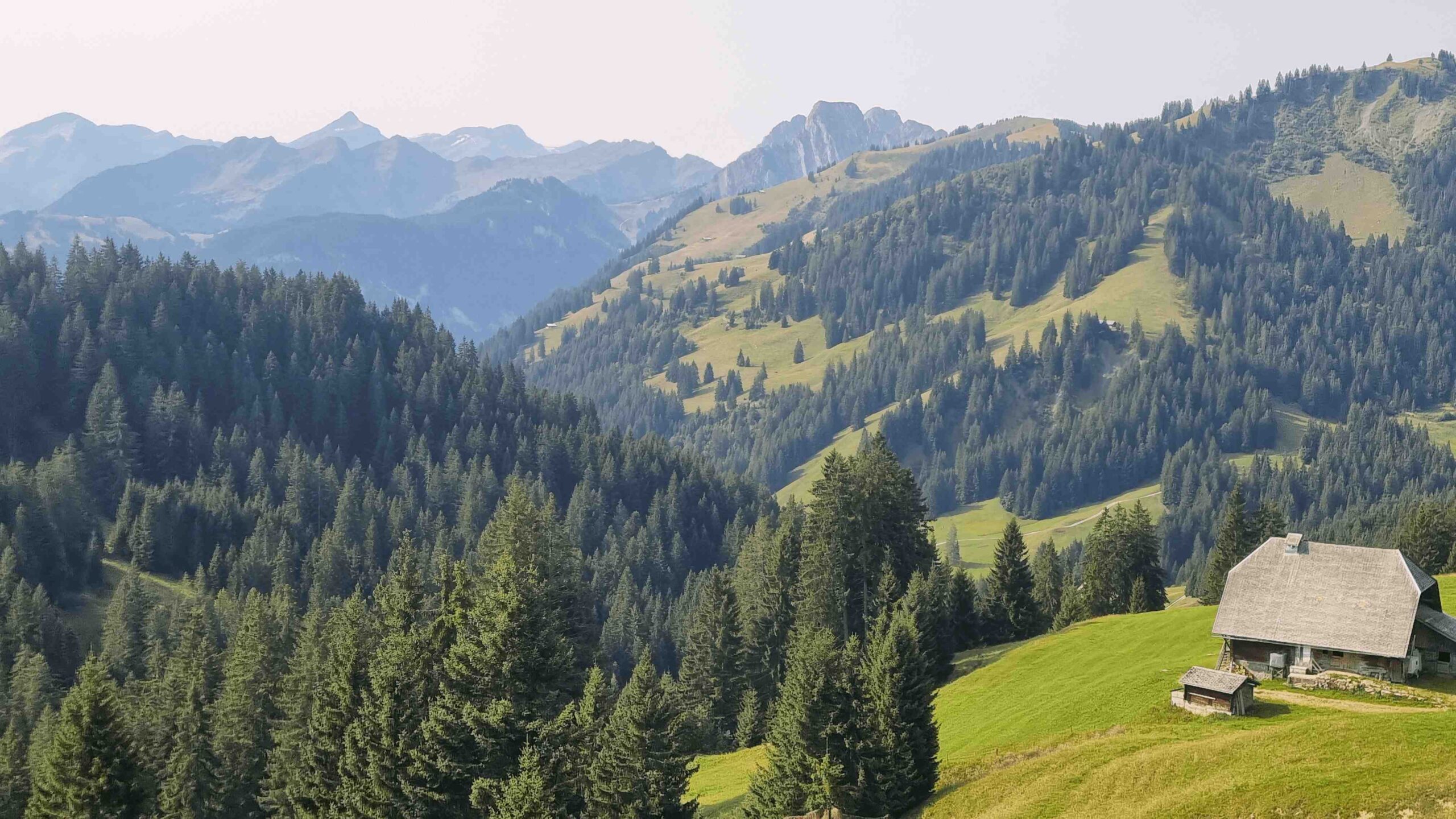 2025-Schweiz-Tour1 (16)