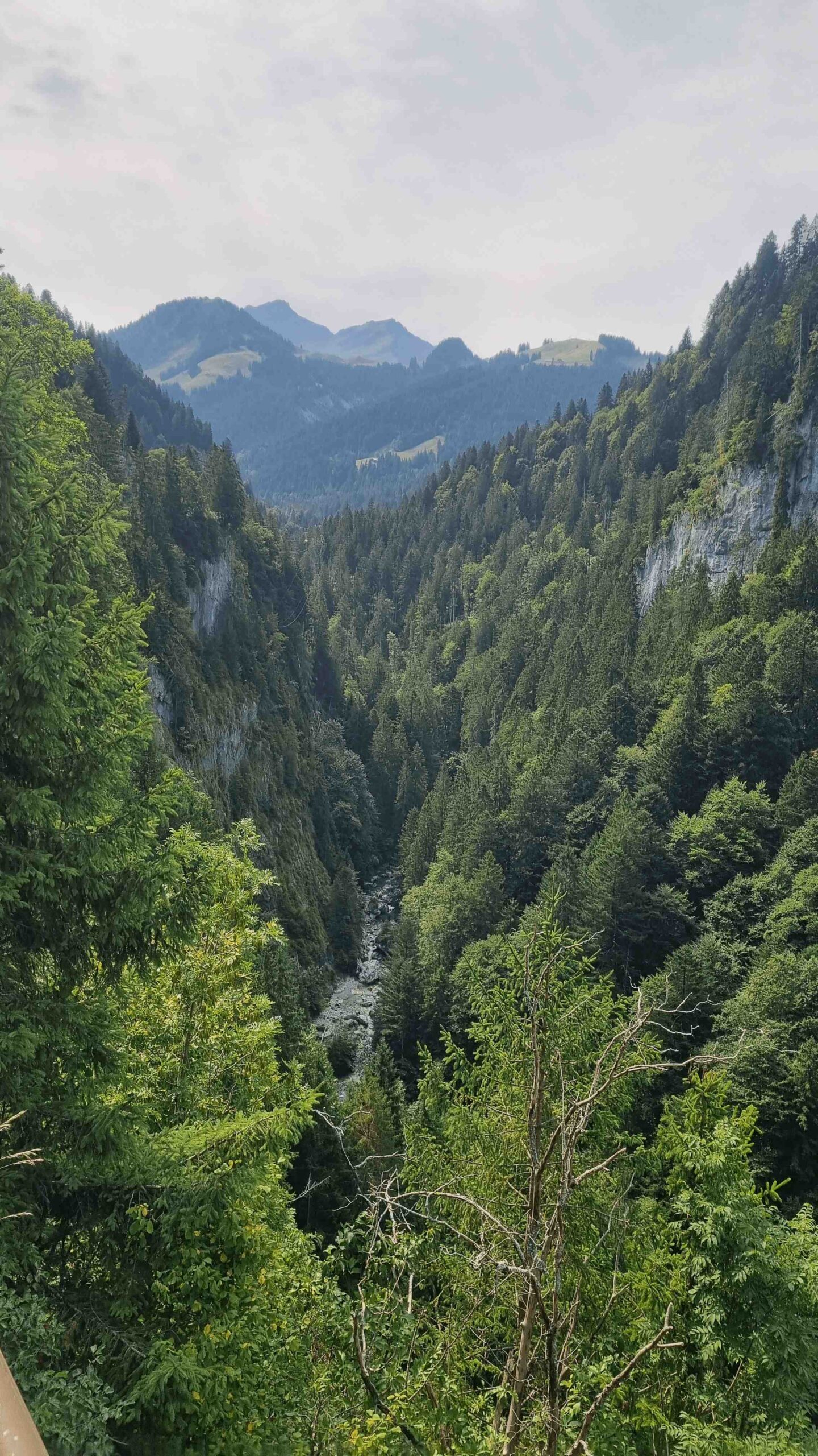 2025-Schweiz-Tour1 (21)